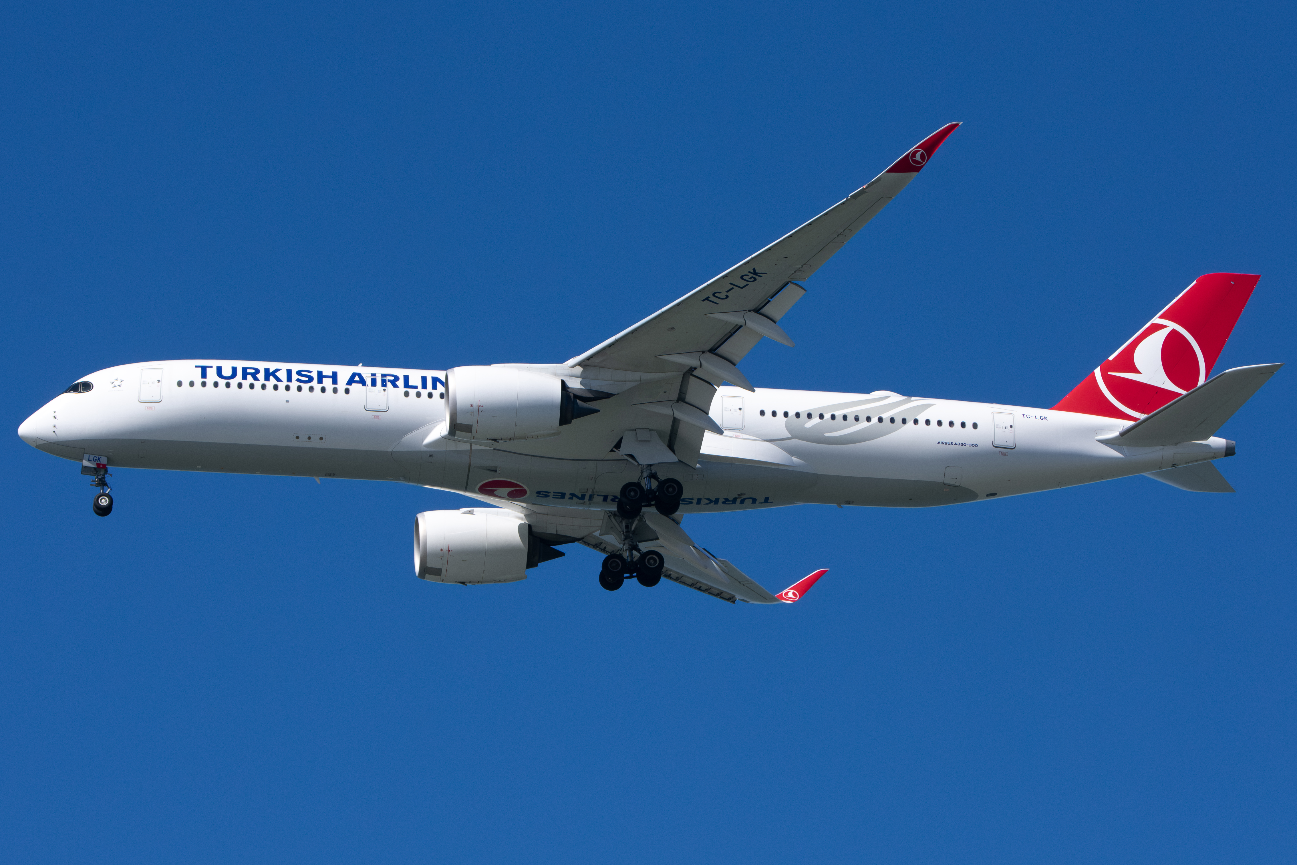 Full size: Turkish Airlines Airbus A350-900 TC-LGK at San Francisco International Airport
