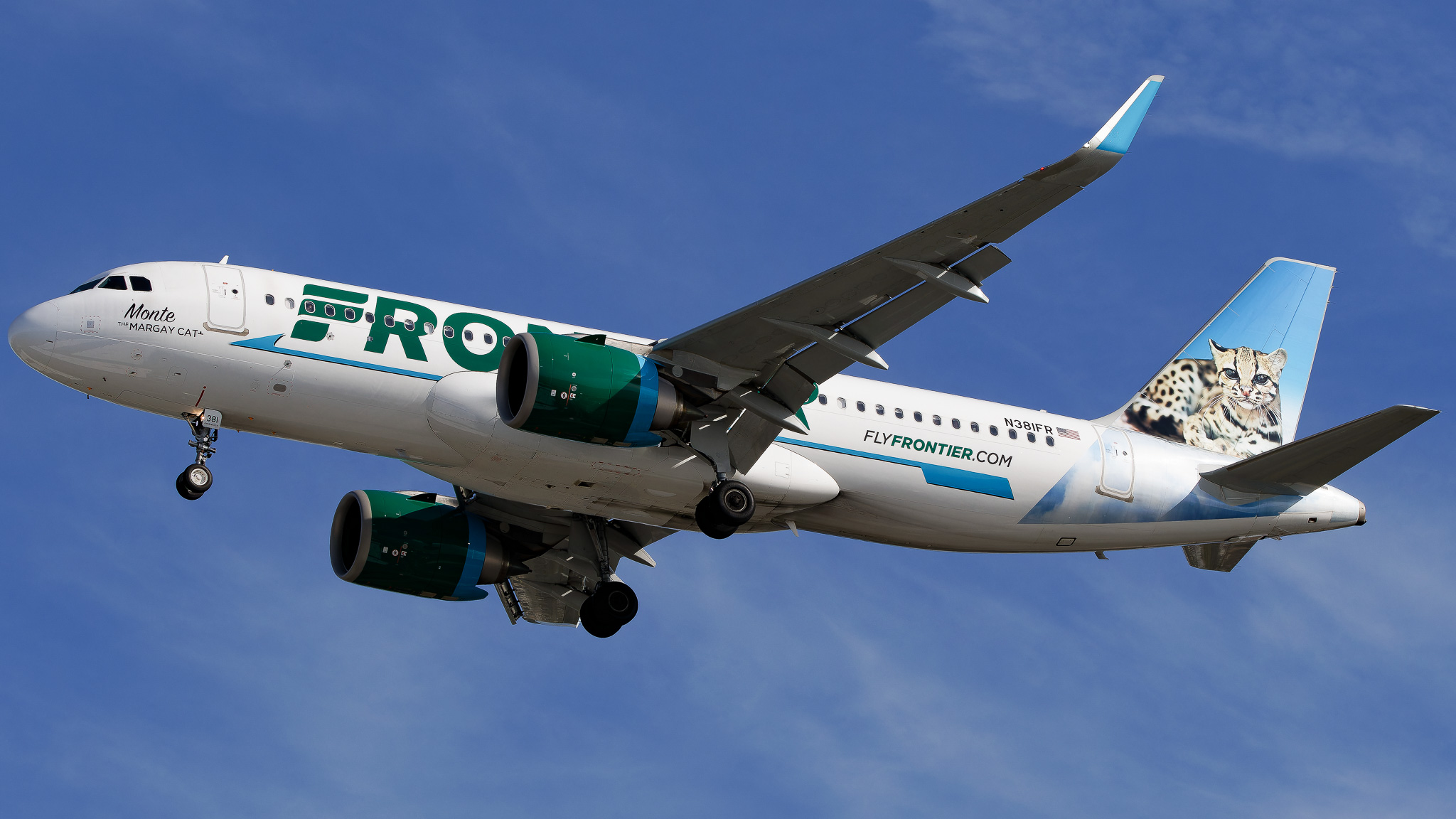 Full size: Frontier Airlines Airbus A320NEO N381FR at Tampa International Airport
