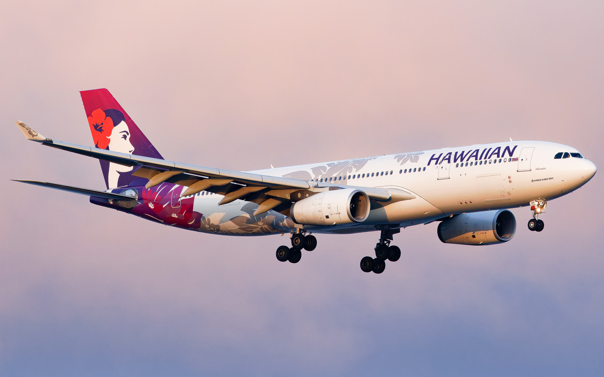 Full size: Hawaiian Airlines Airbus A330-200 N392HA at John F. Kennedy International Airport
