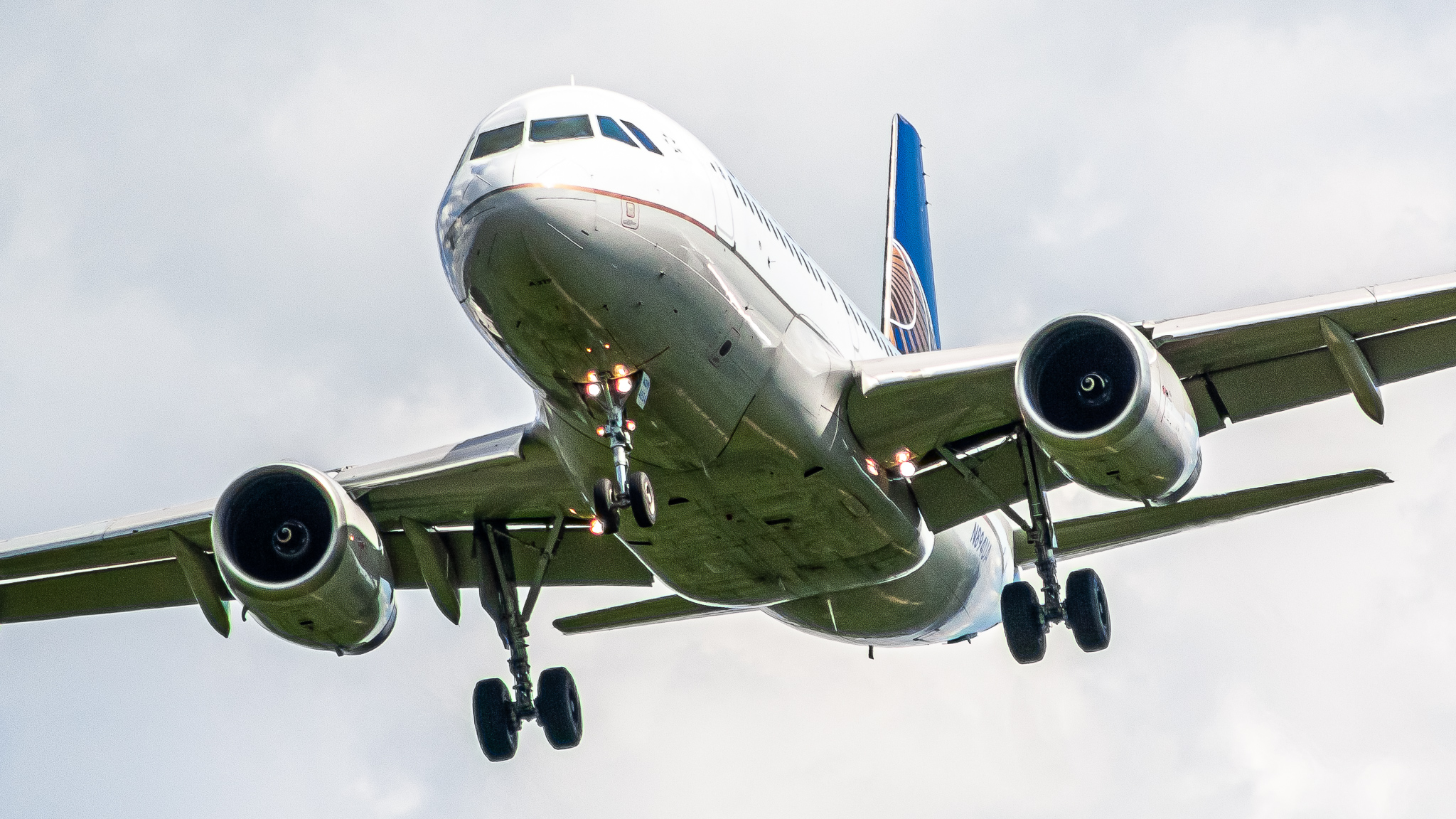 Full size: United Airlines Airbus A319 N894UA at Washington Dulles International Airport