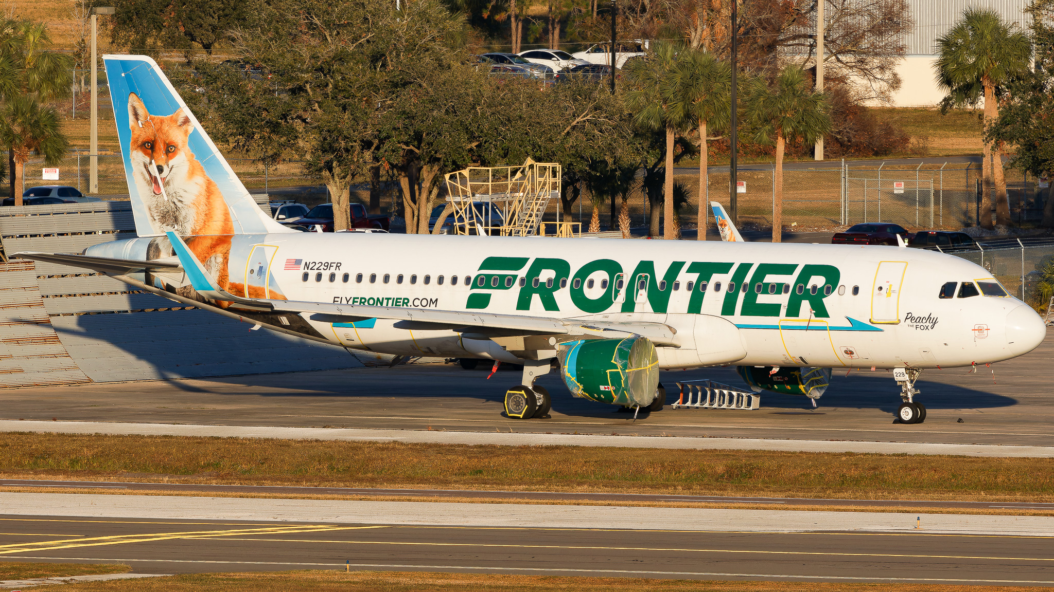 Full size: Frontier Airlines Airbus A320 N229FR at Tampa International Airport