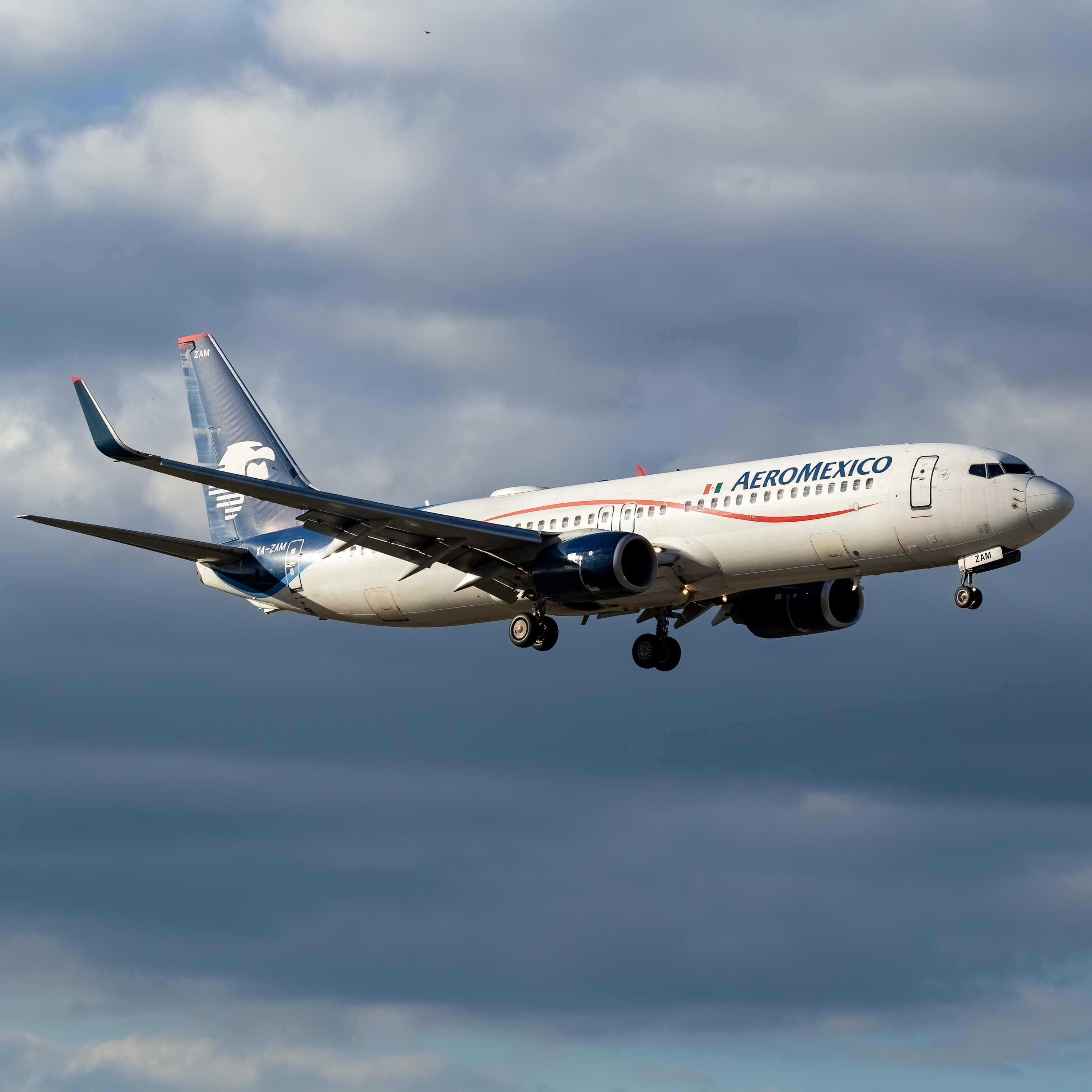 Full size: Aeromexico Boeing 737-800 XA-ZAM at Miami International Airport