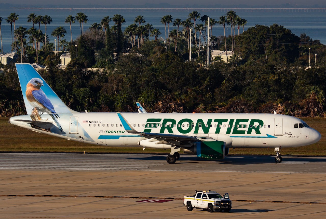 Full size: Frontier Airlines Airbus A320 N230FR at Tampa International Airport