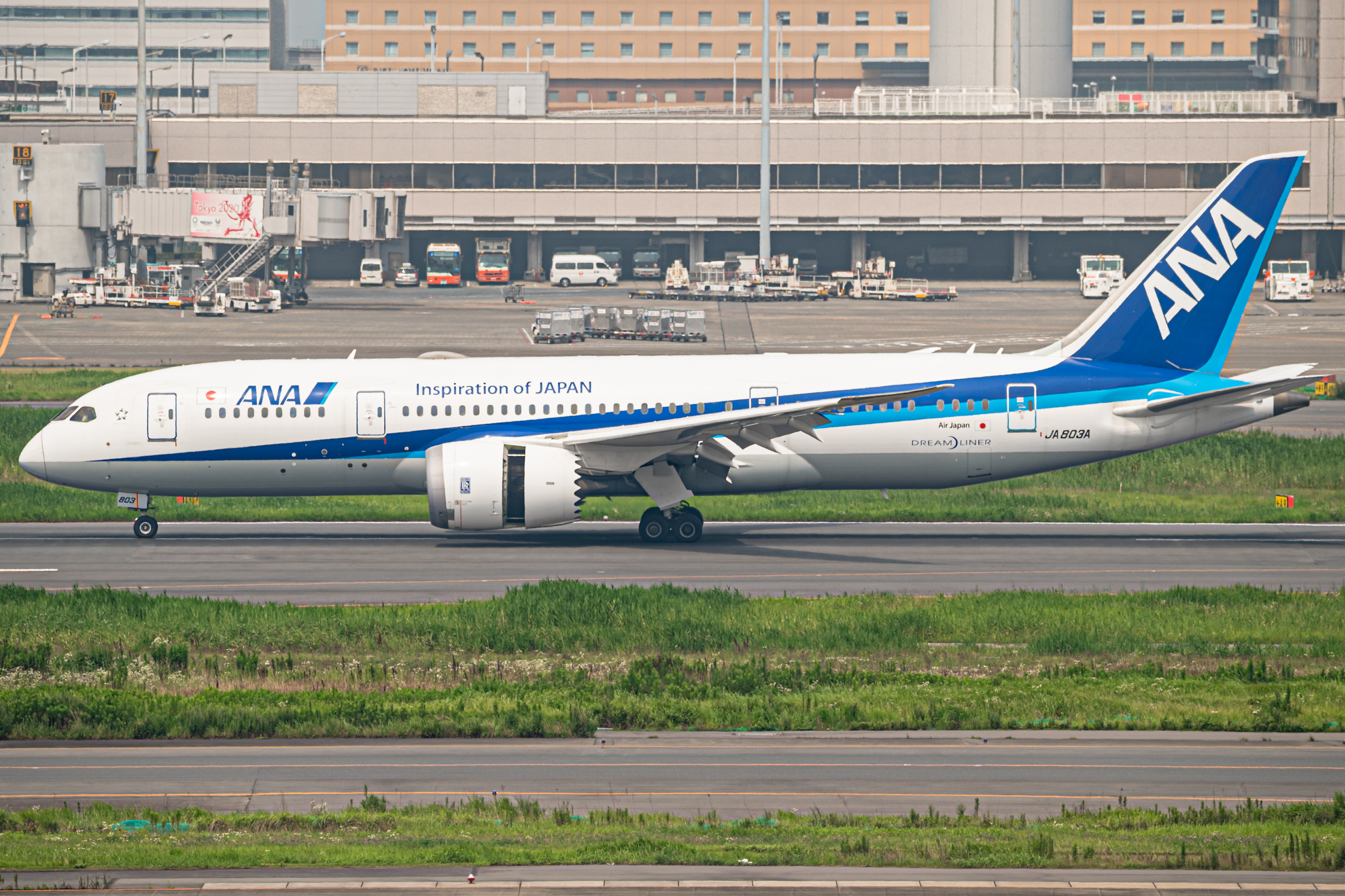 Full size: All Nippon Airways Boeing 787-8 JA803A at Tokyo-Haneda Airport