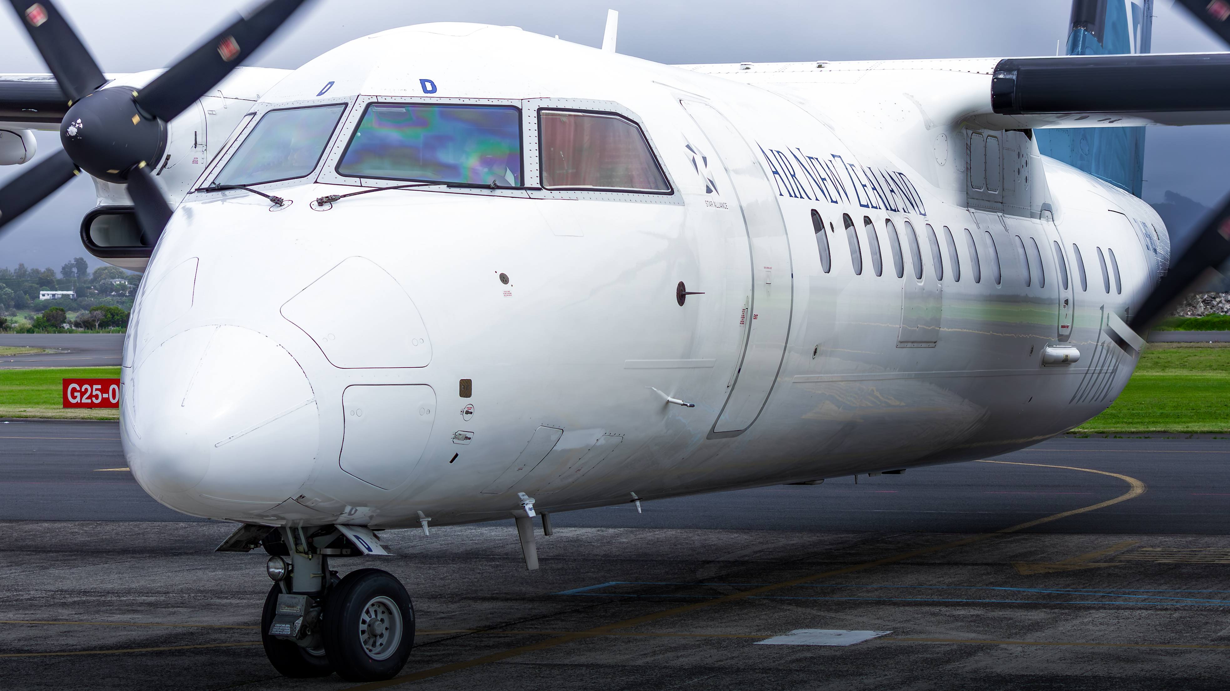 Full size: Air New Zealand De Havilland Dash-8 q300 ZK-NED at Tauranga Airport