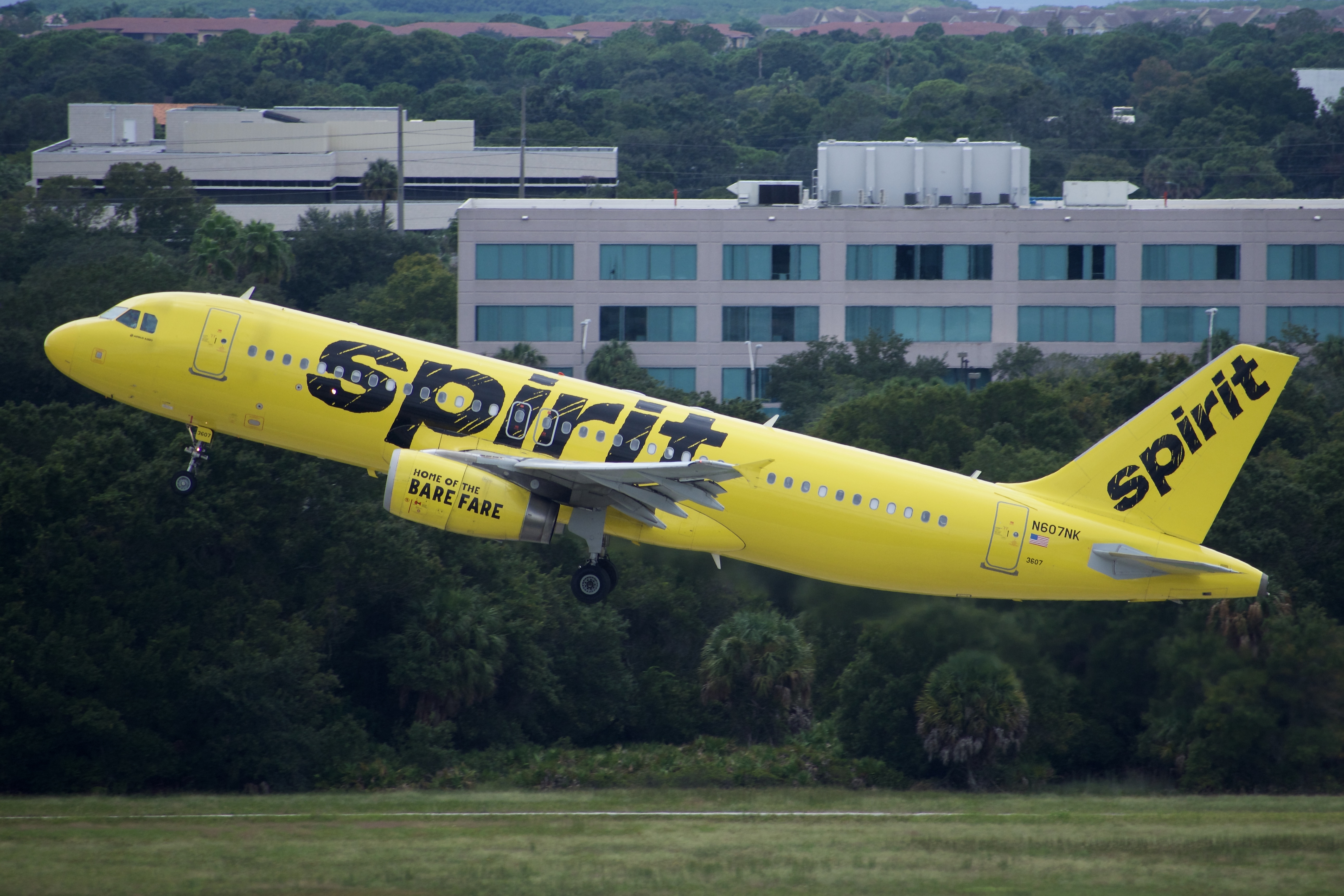 Full size: Spirit Airlines Airbus A320 N607NK at Tampa International Airport