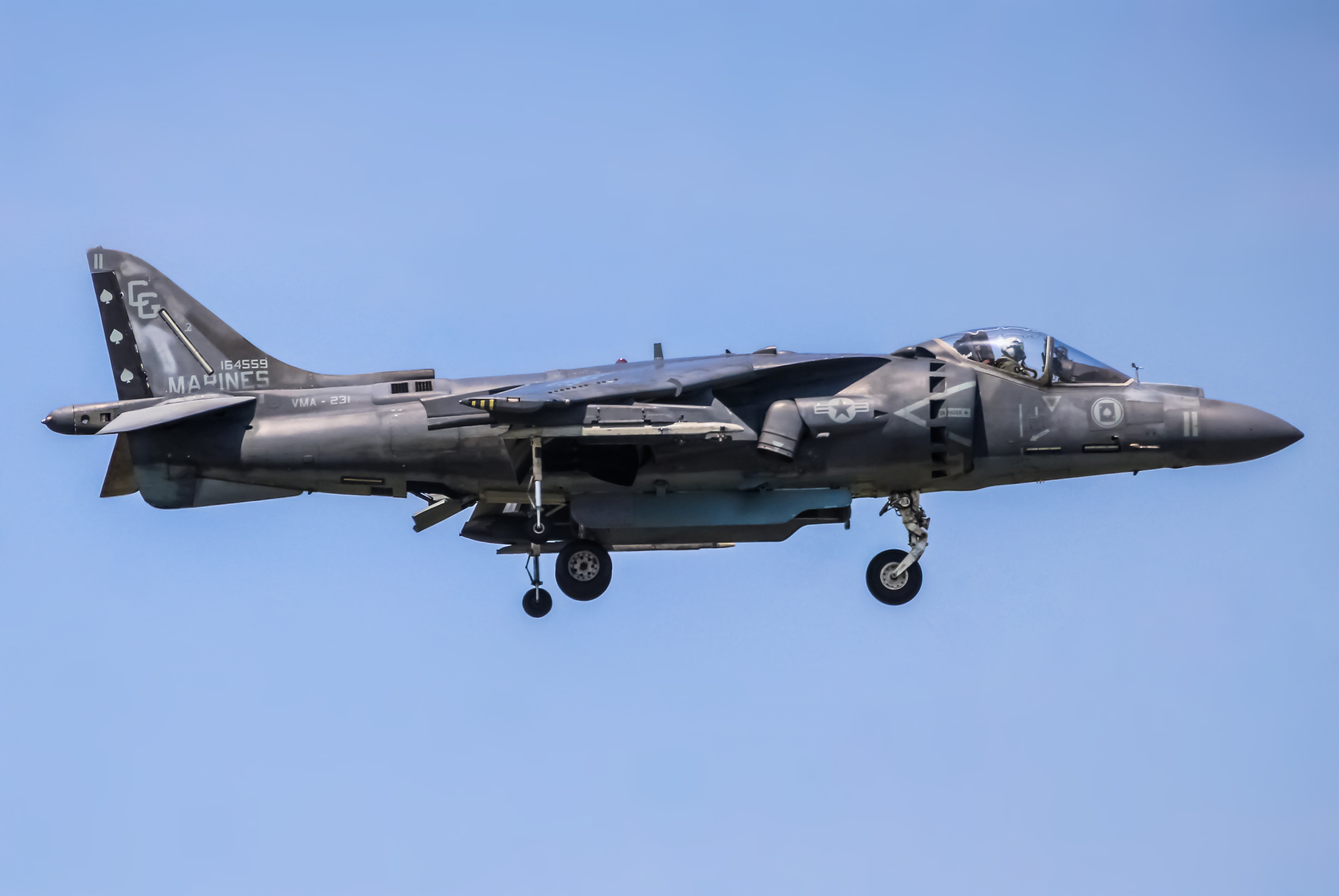 Full size: USMC - United States Marine Corp McDonnell Douglas AV-8B Harrier II 164559 at Dover Air Force Base