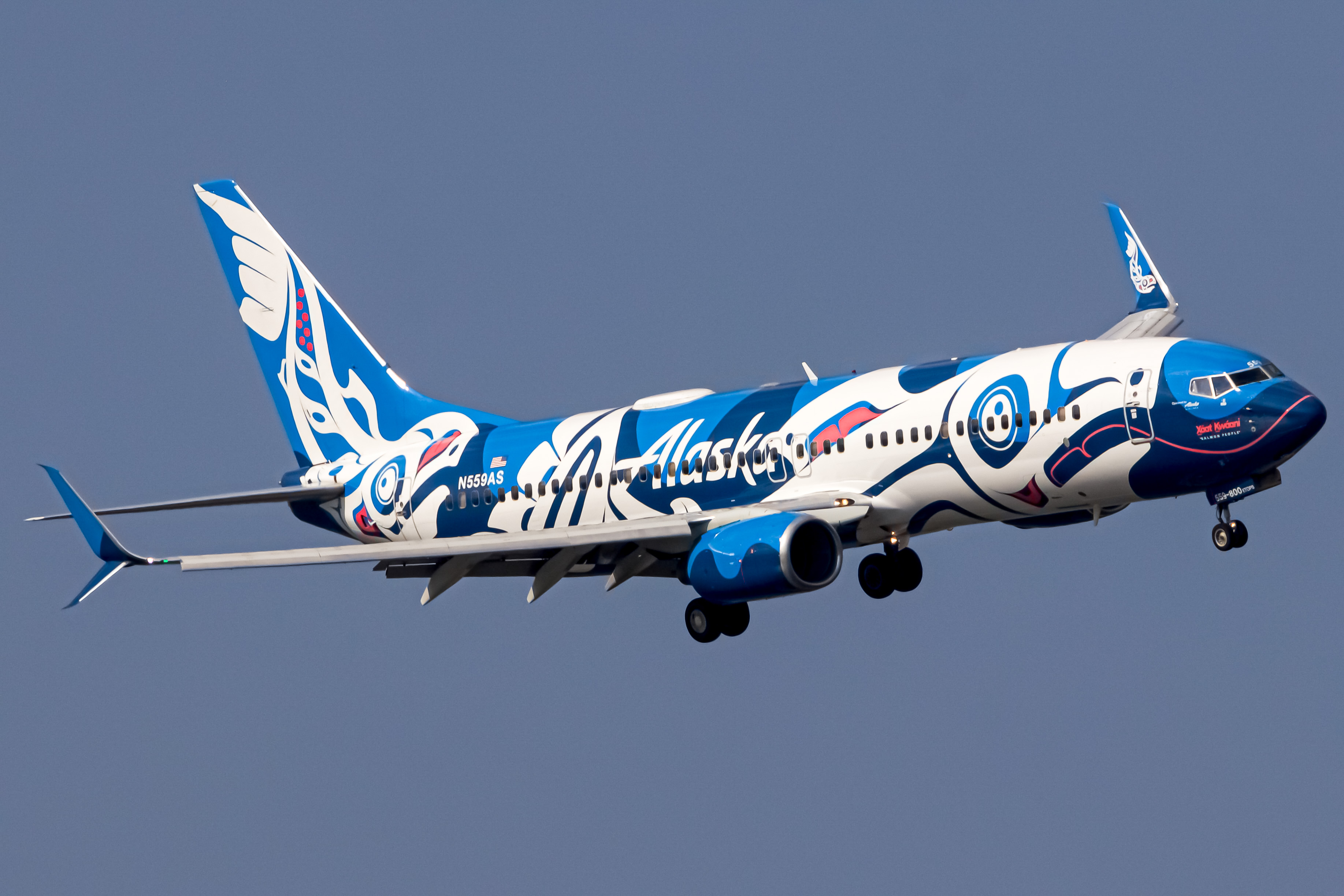Full size: Alaska Airlines Boeing 737-800 N559AS at Ronald Reagan National Airport