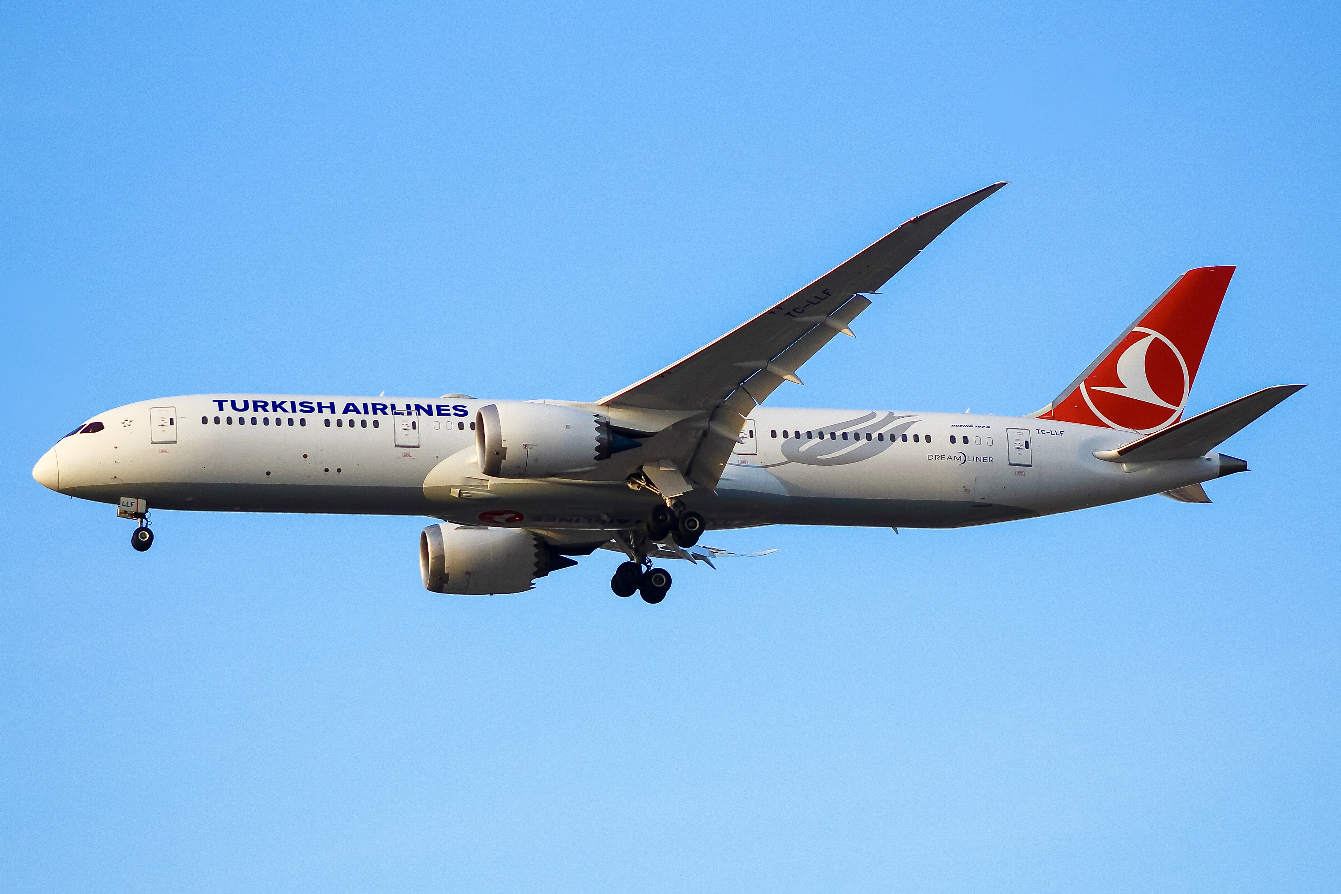 Full size: Turkish Airlines Boeing 787-9 TC-LLF at Chicago O'Hare International Airport
