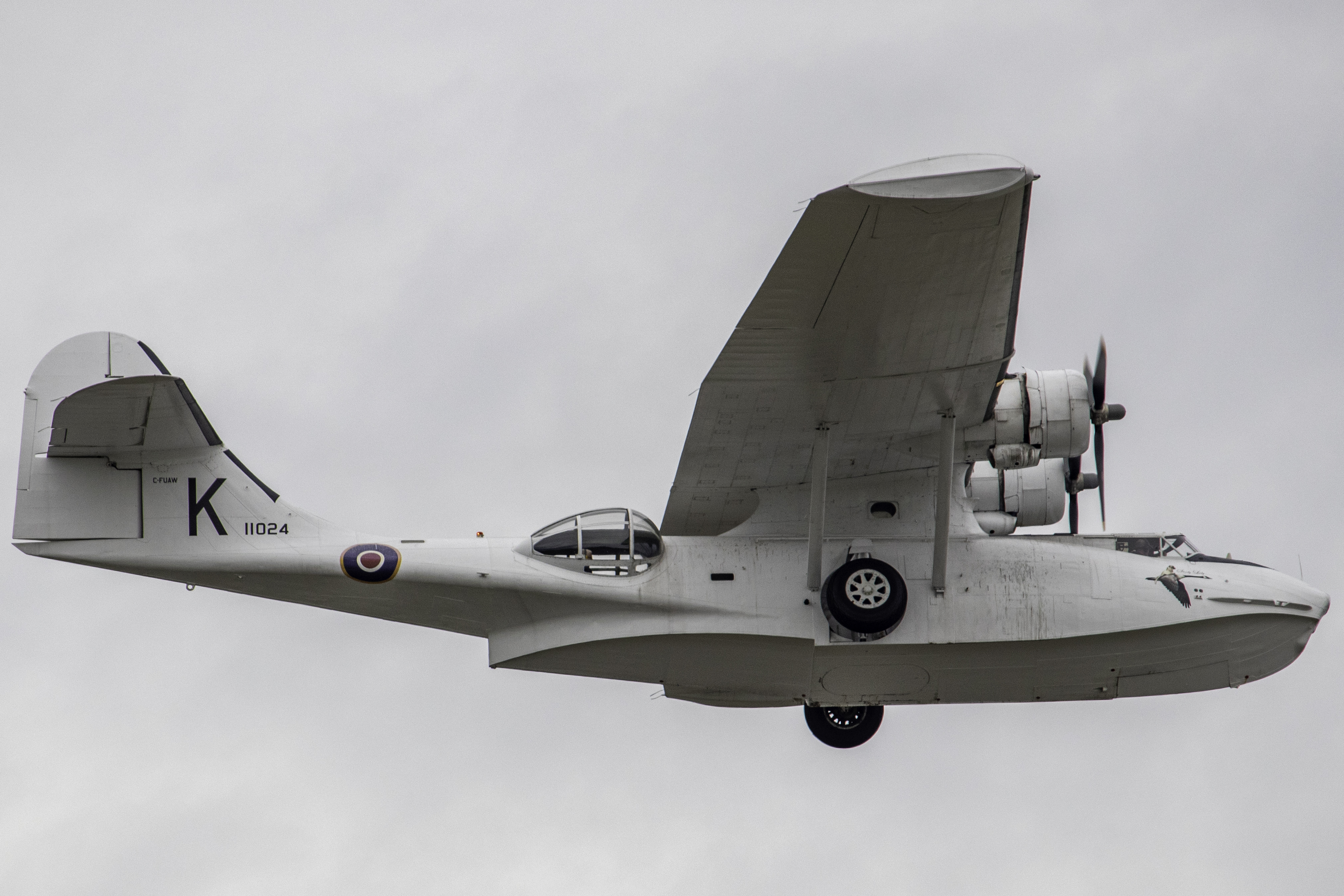 Full size: Catalina Preservation Society Consoildated PBY Catalina C-FUAW at Victoria International Airport
