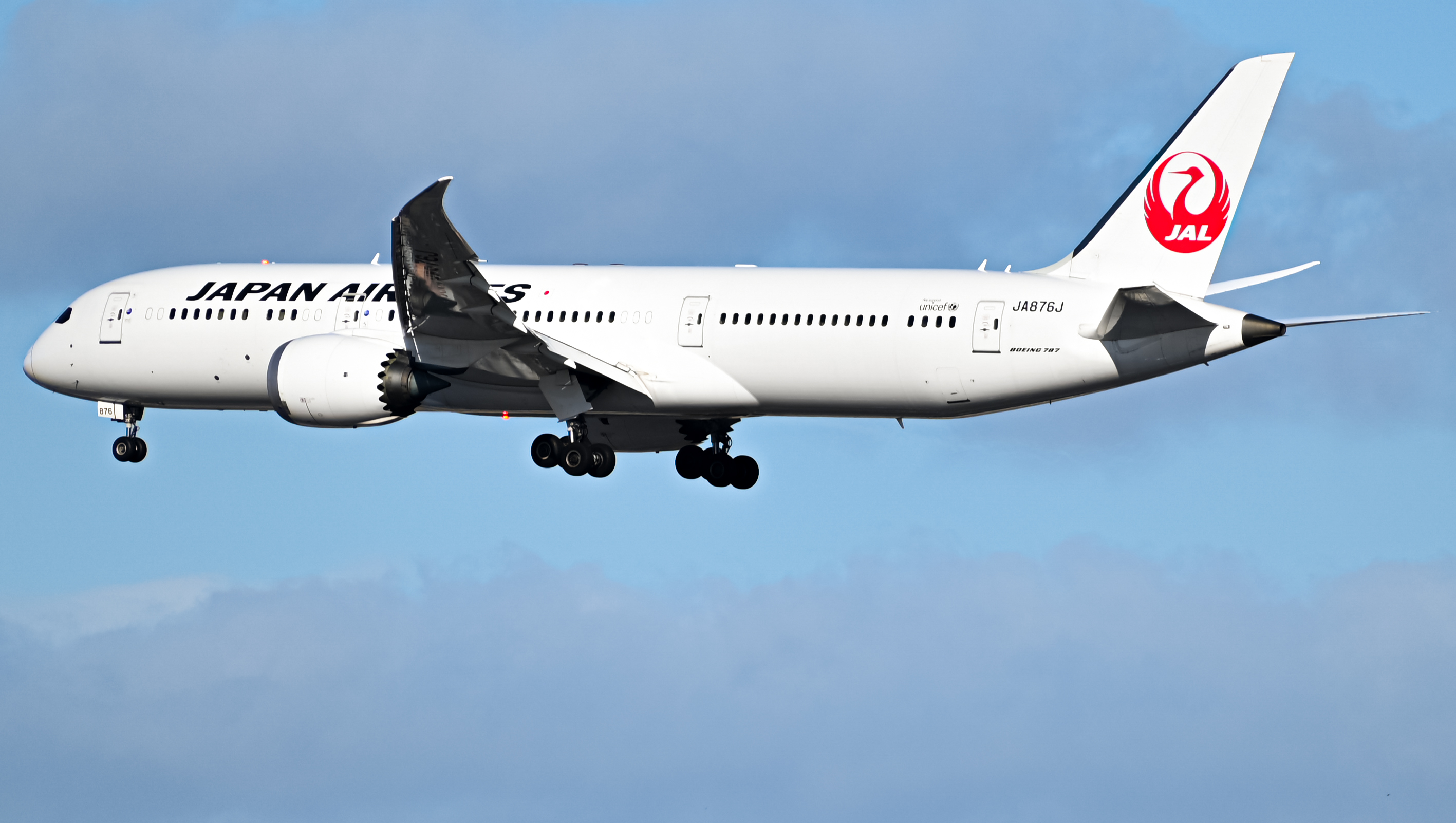 JA876J | Japan Airlines Boeing 787-9 at LAX | AeroXplorer