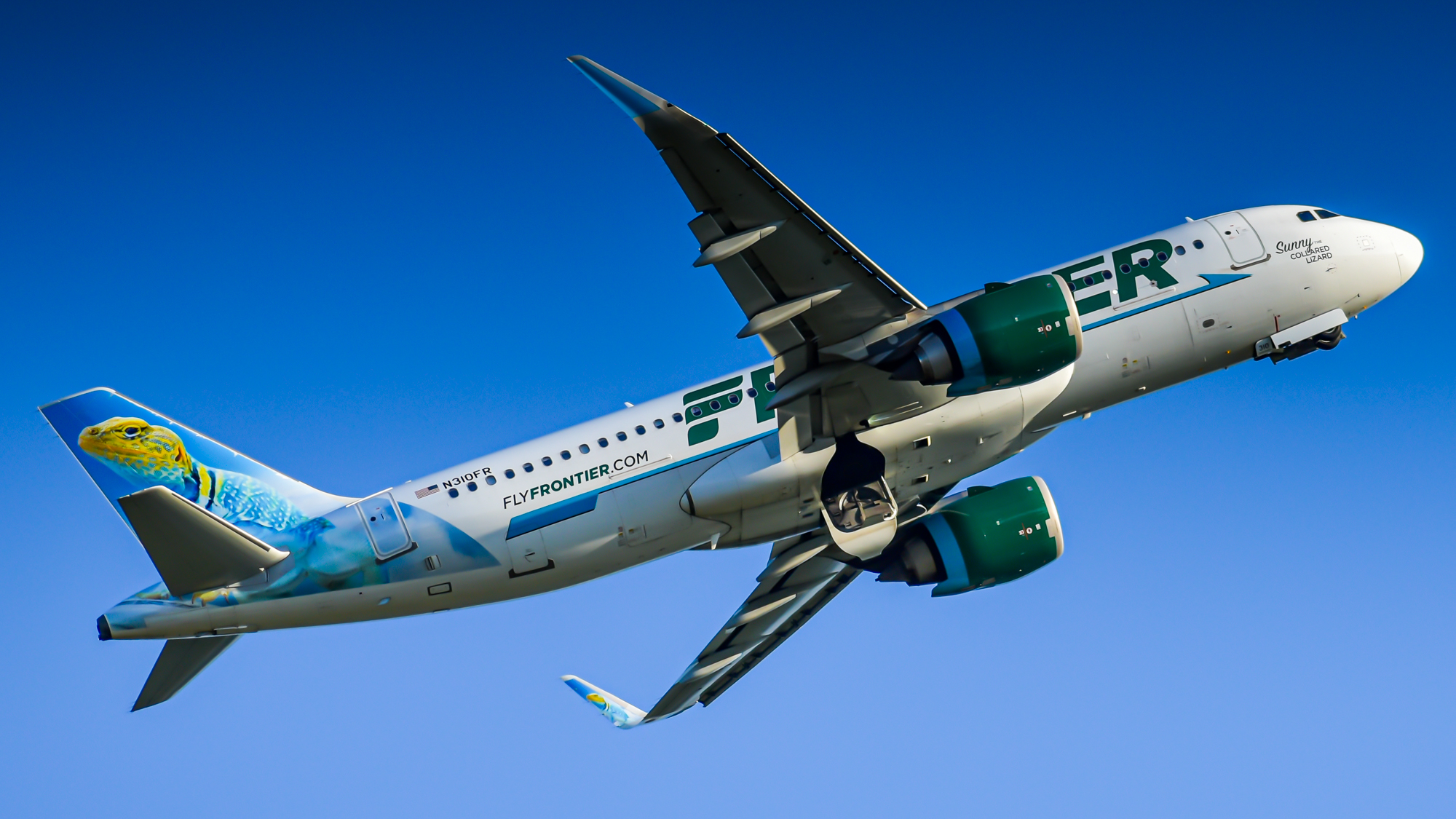 Full size: Frontier Airlines Airbus A320-200N N310FR at Portland International Airport