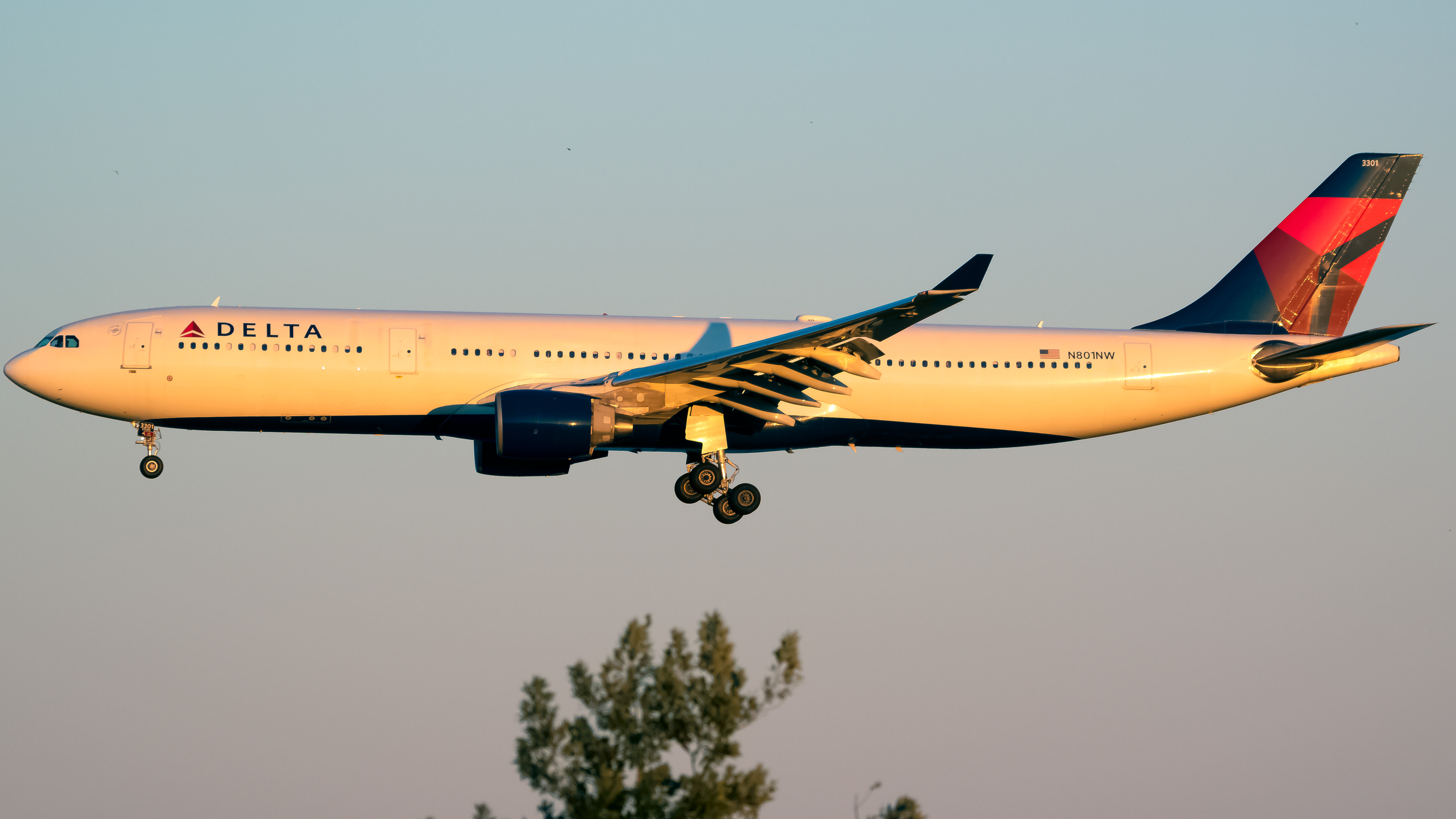 Full size: Delta Airlines Airbus A330-300 N801NW at Orlando International Airport
