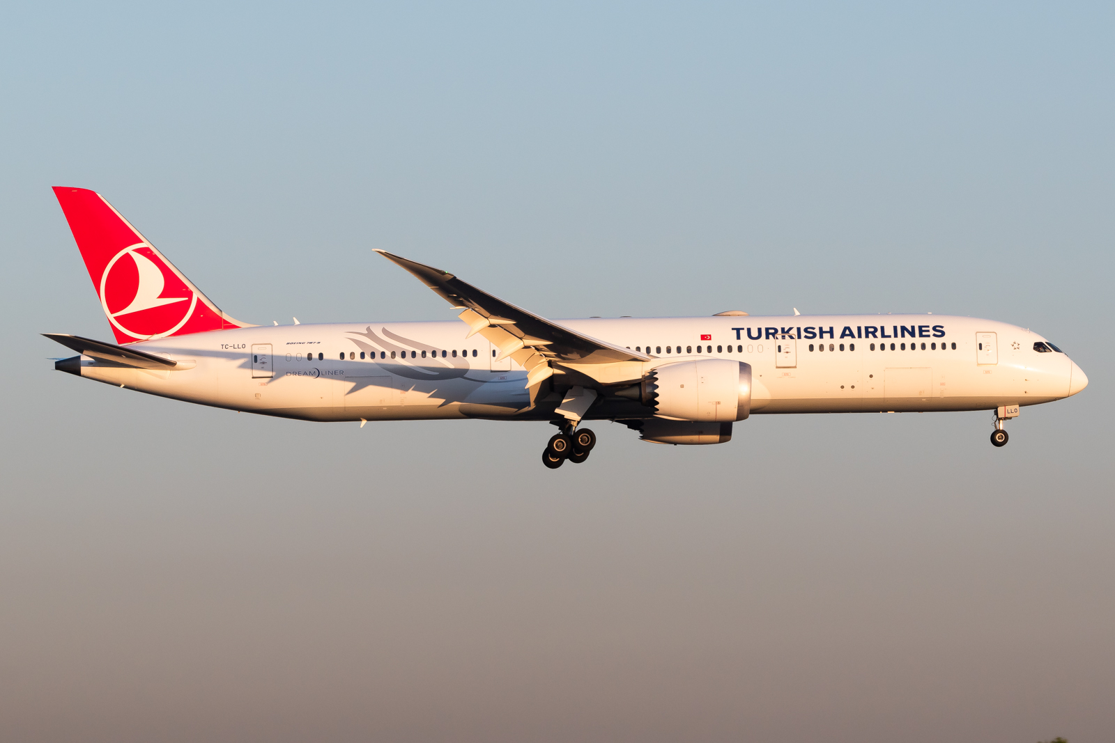 Full size: Turkish Airlines Boeing 787-9 TC-LLO at Mexico City International Airport