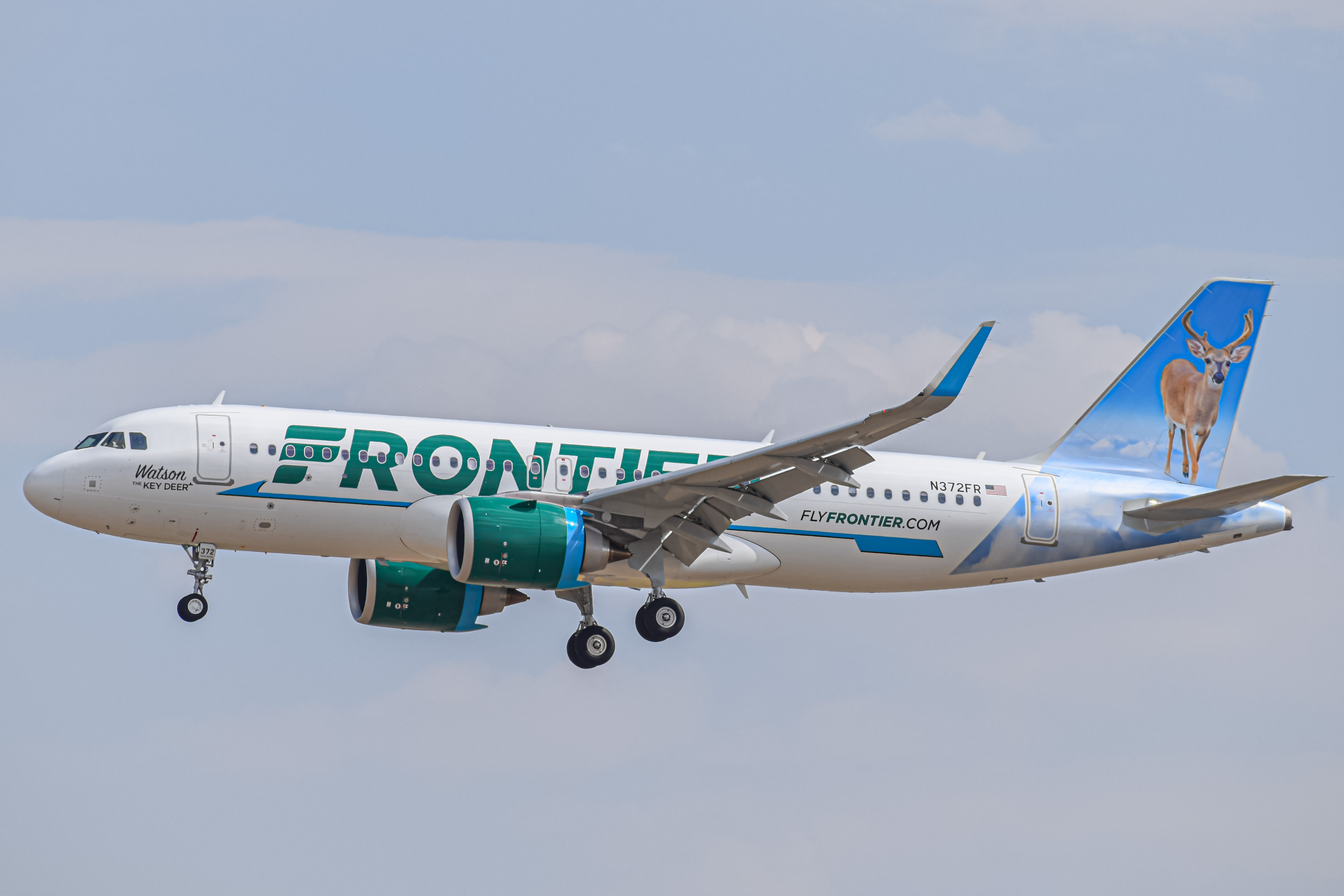 Full size: Frontier Airlines Airbus A320NEO N372FR at Denver International Airport