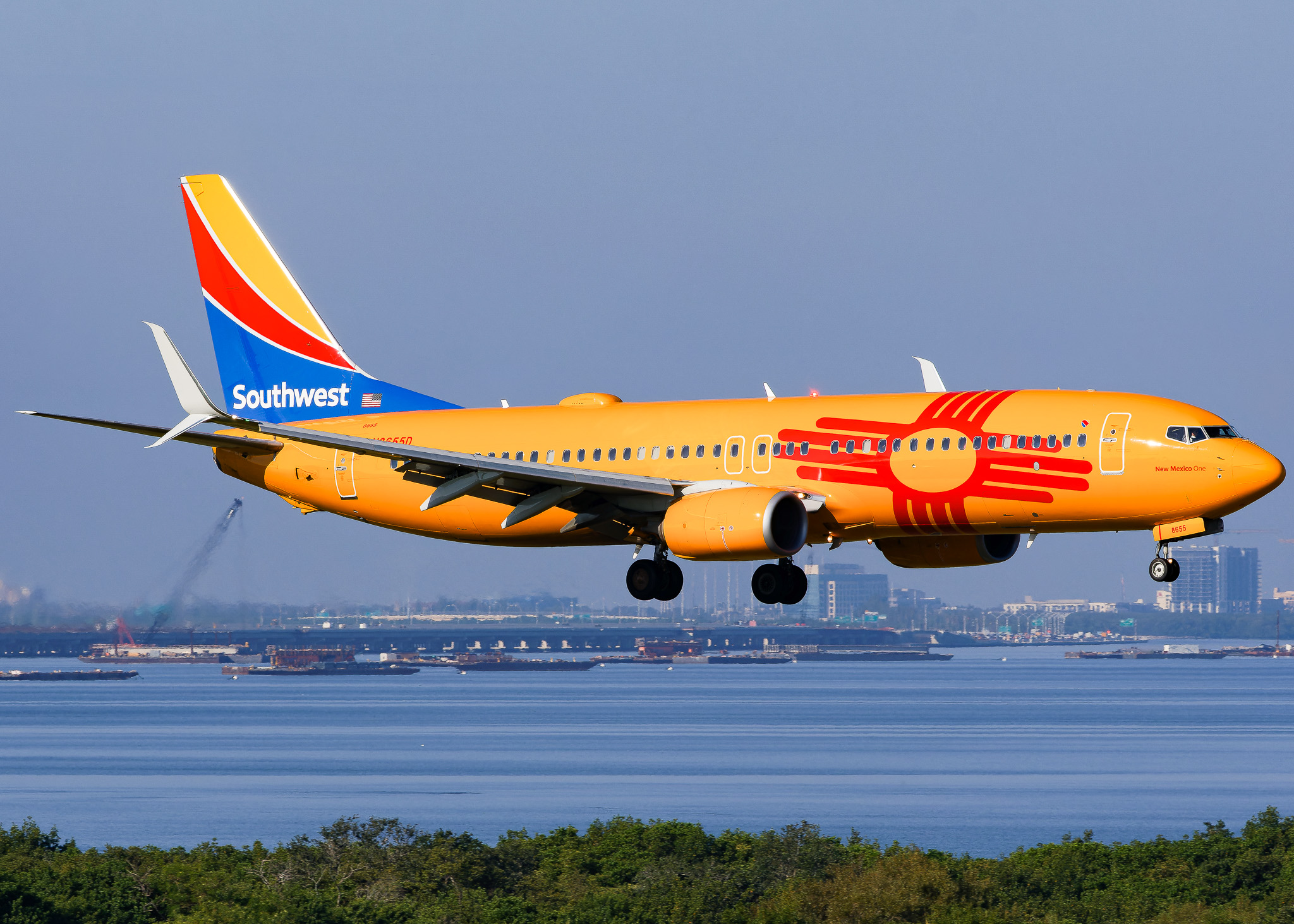 Full size: Southwest Airlines Boring 737-800 N8655D at Tampa International Airport