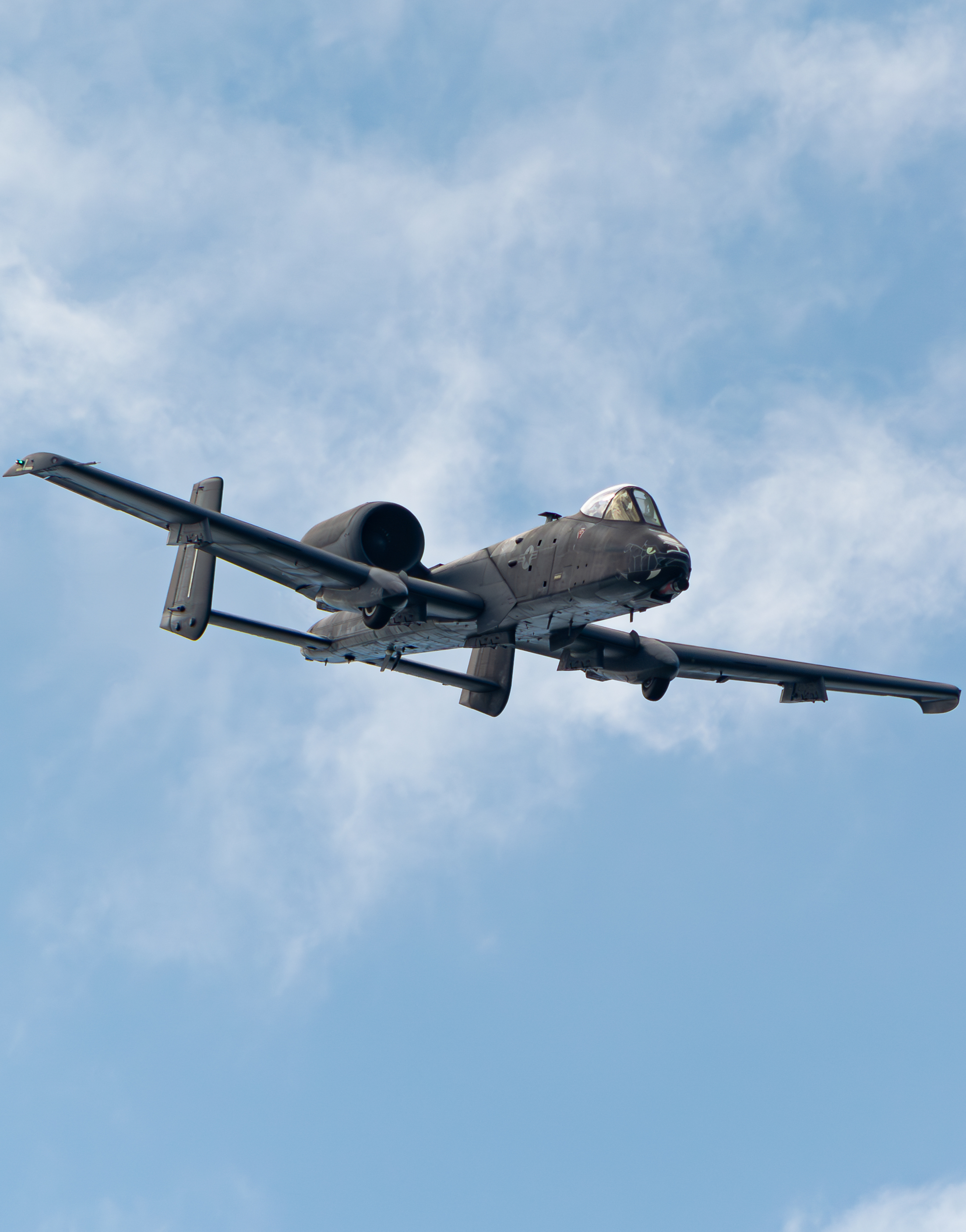 Full size: USAF - United States Air Force Fairchild A-10 Thunderbolt 80-0244 at Cleveland Burke Lakefront Airport