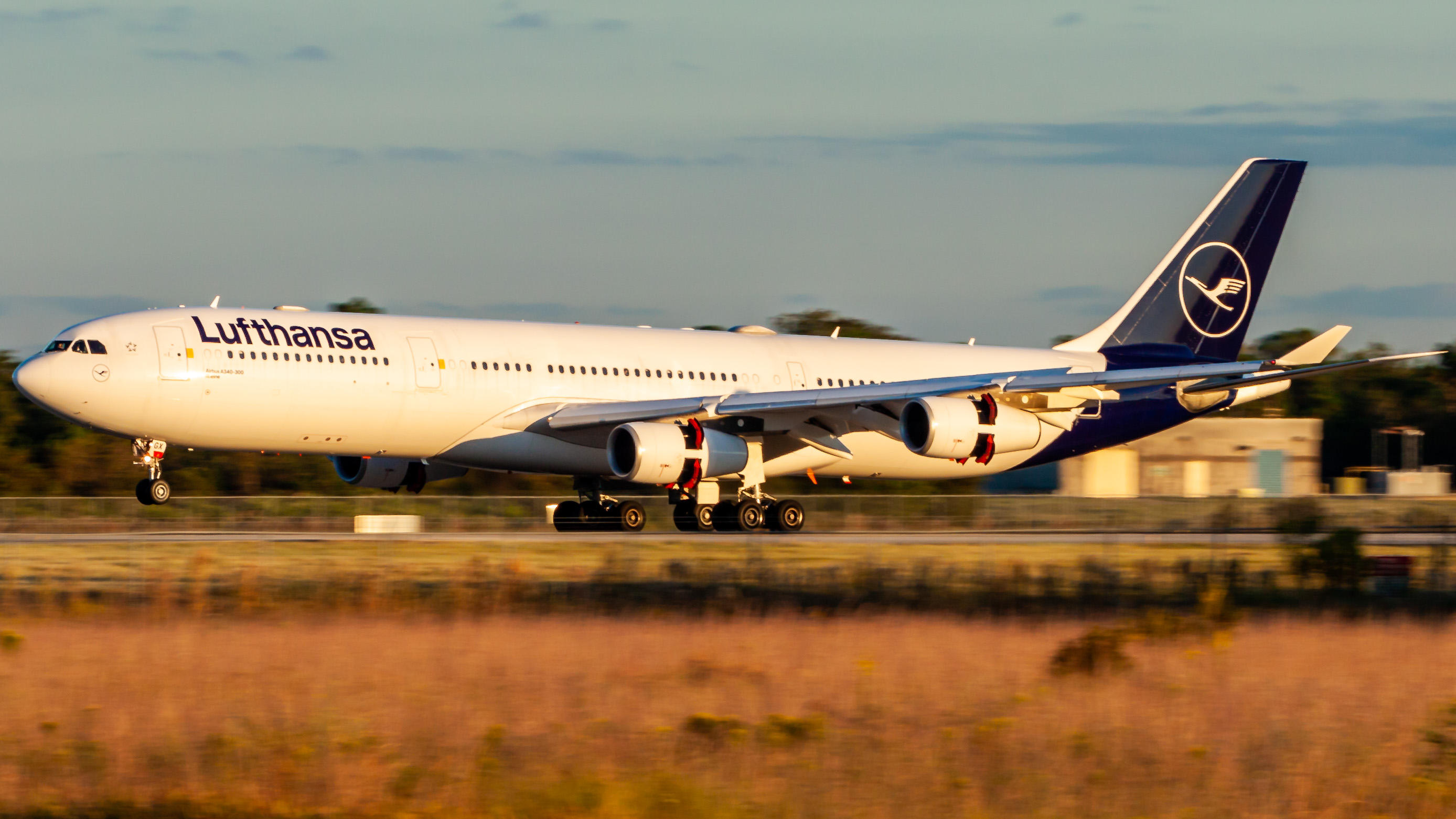 Full size: Lufthansa Airbus A340-300 D-AIGX at Orlando International Airport
