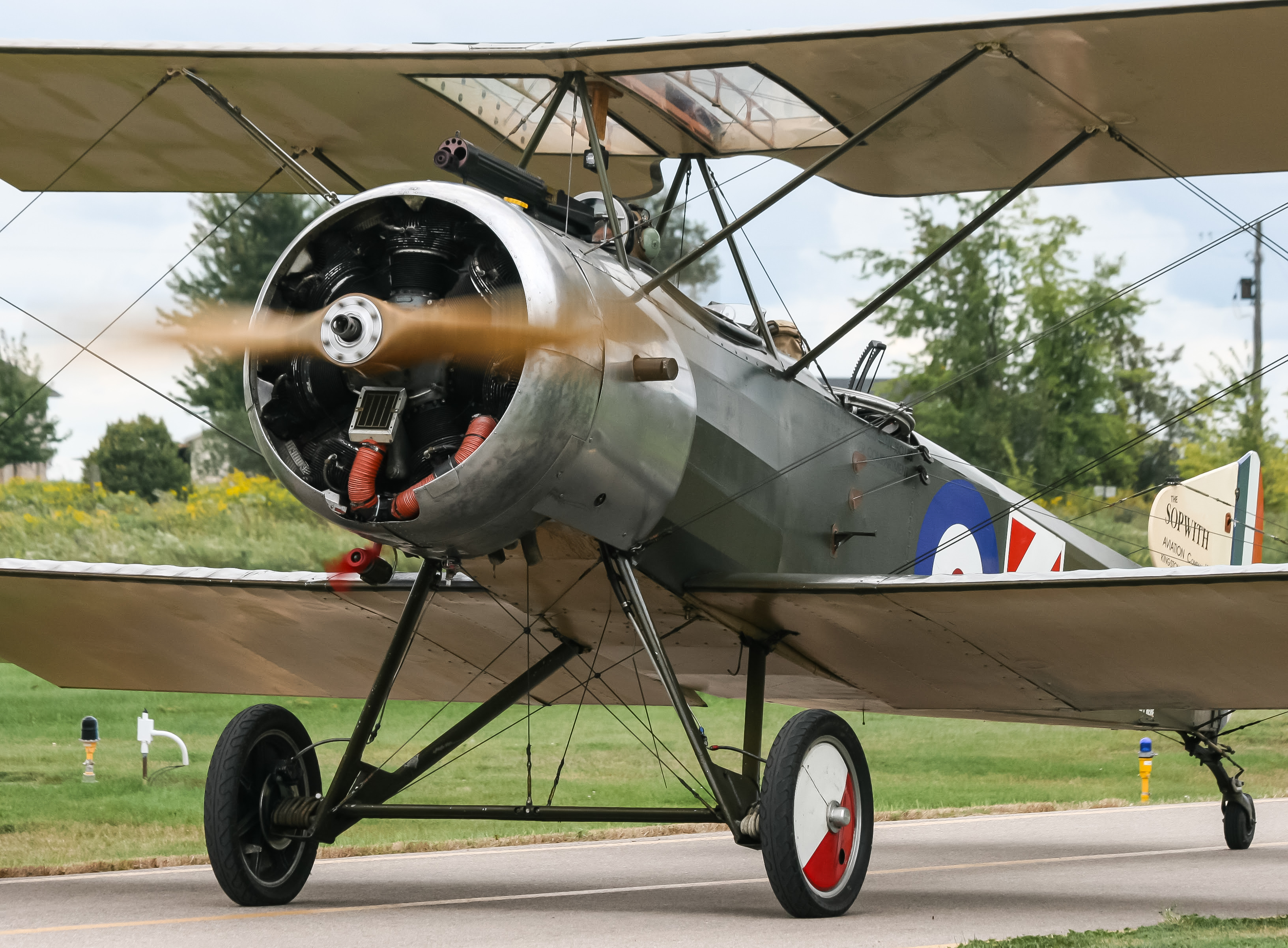 Full size: Great War Flying Museum Sopwith 1-1/2 Strutter C-FSOP at 
