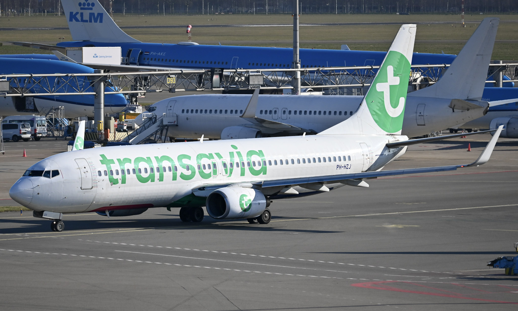Full size: Transavia Boeing 737-800 PH-HZJ at Amsterdam Schiphol Airport