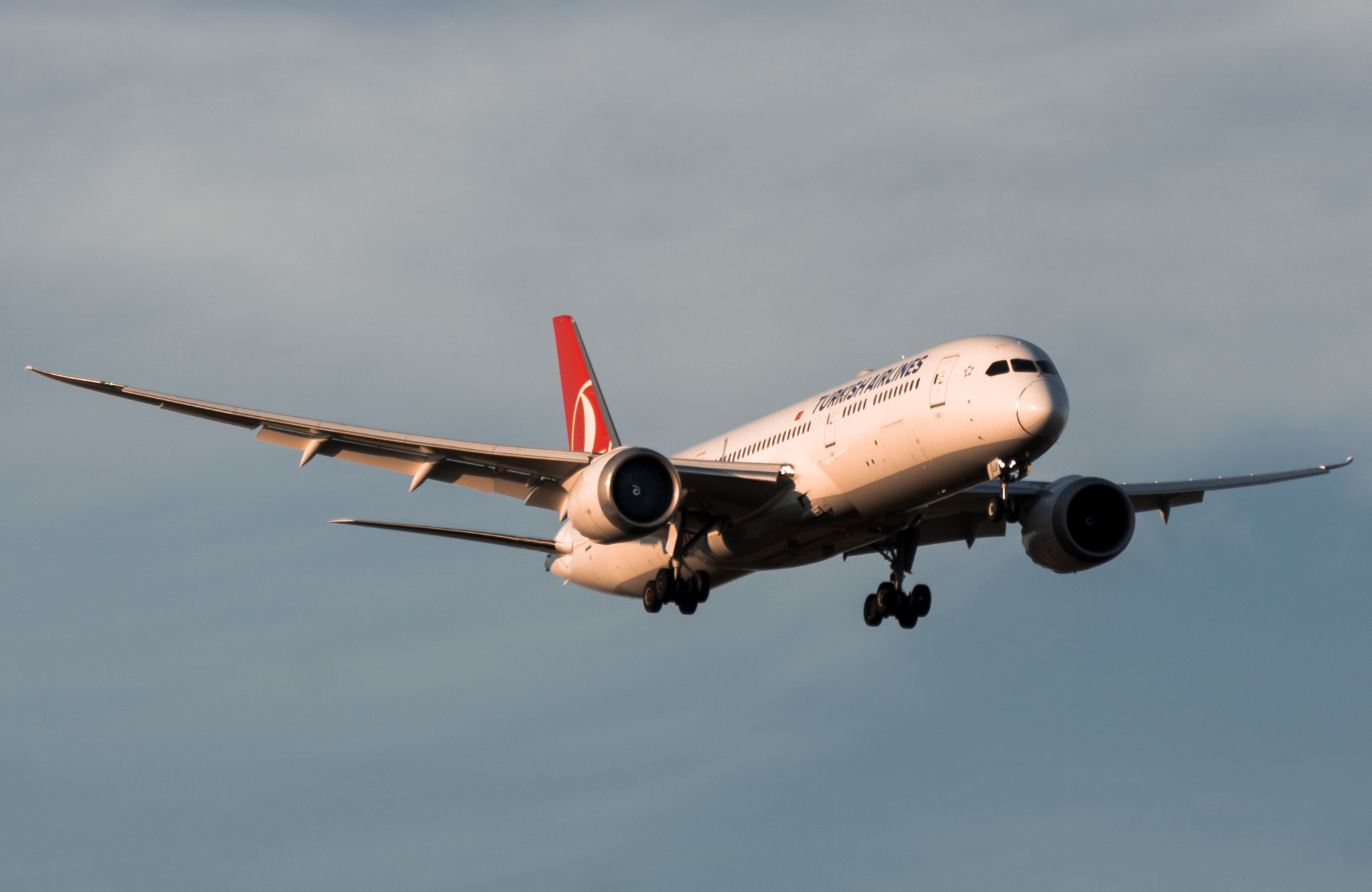 Full size: Turkish Airlines Boeing 787-9 TC-LLF at Dallas-Fort Worth International Airport