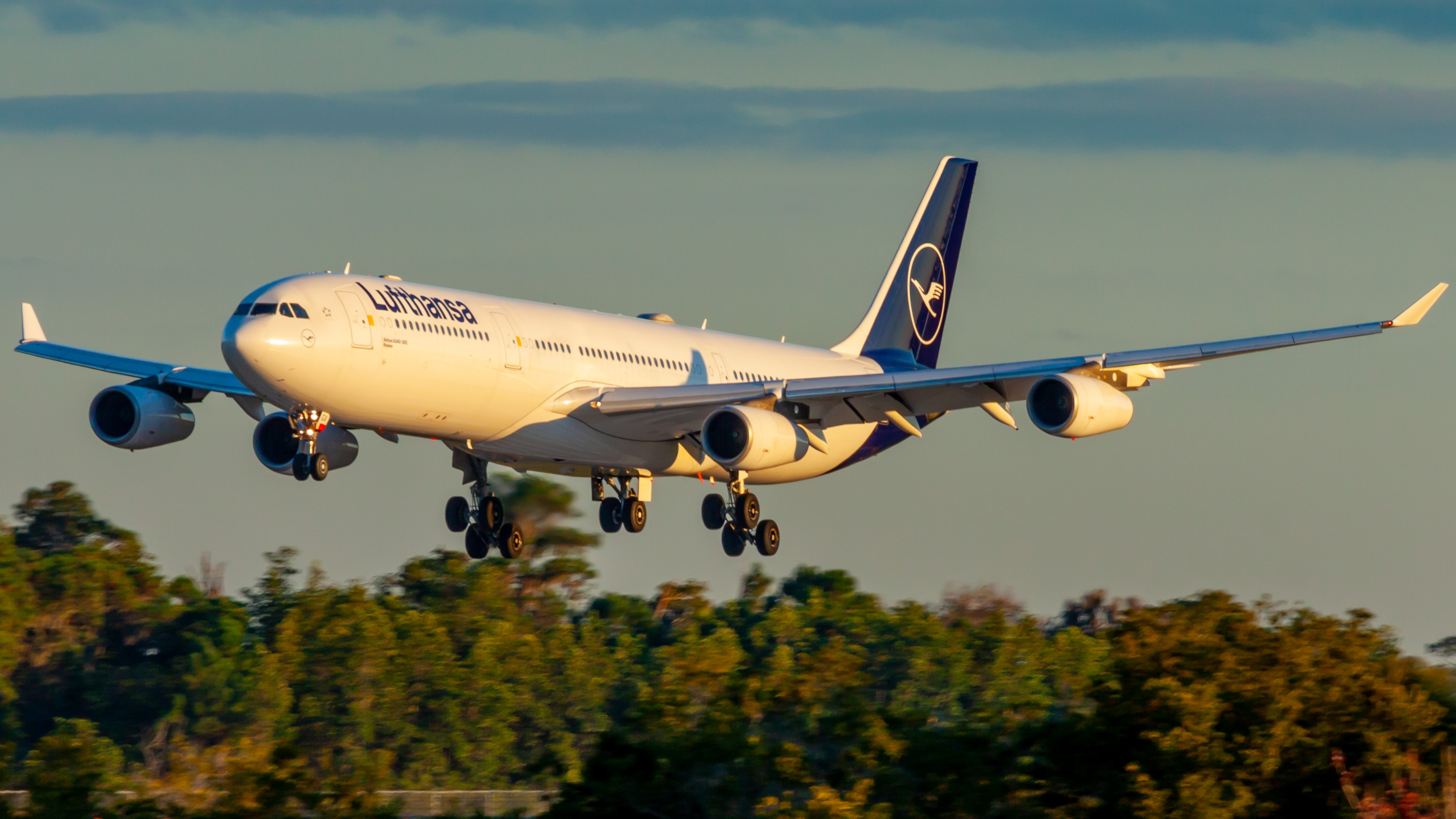 Full size: Lufthansa Airbus A340-300 D-AIGX at Orlando International Airport