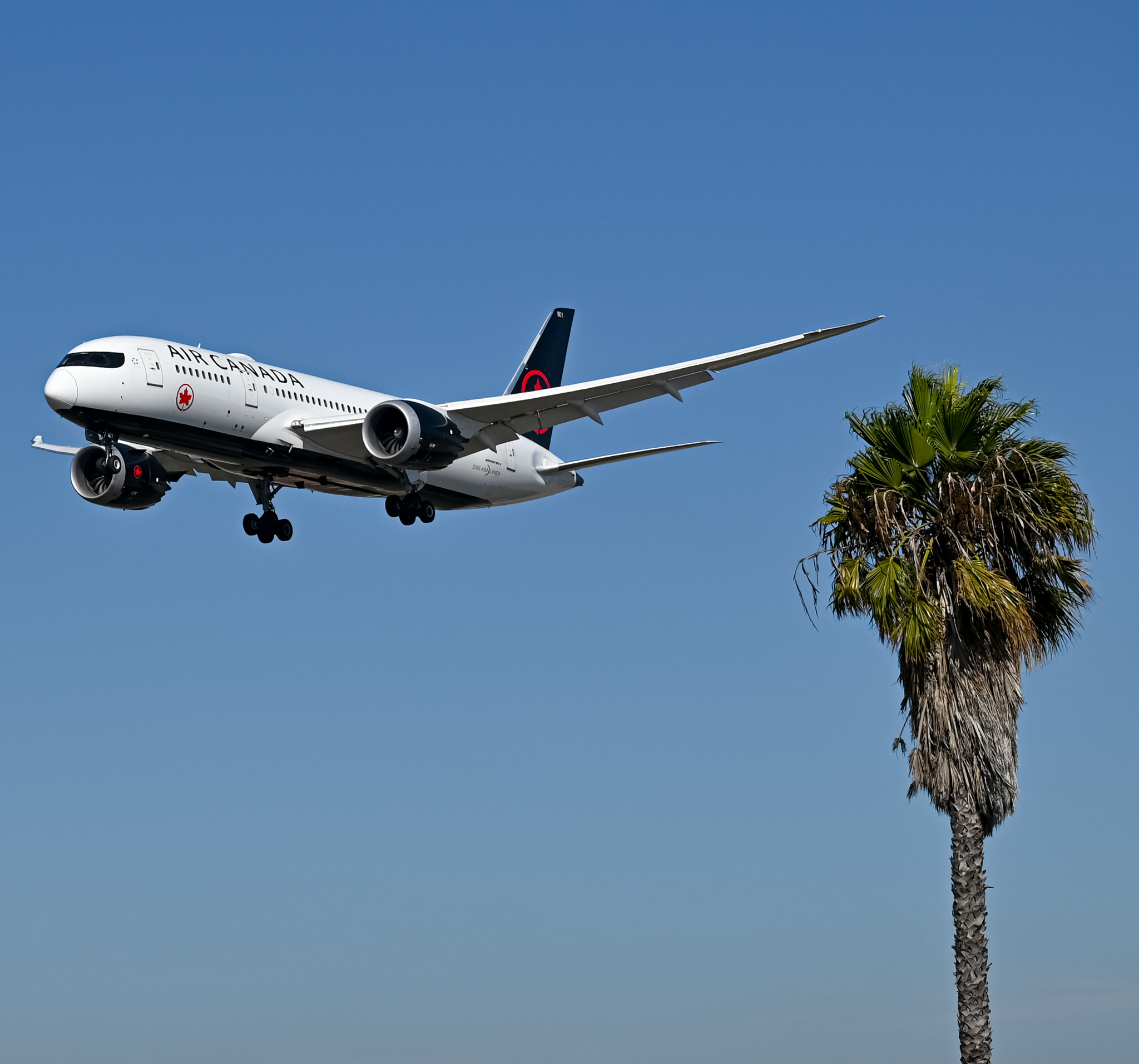 Full size: Air Canada Boeing 787-8 C-GHPQ at Los Angeles International Airport