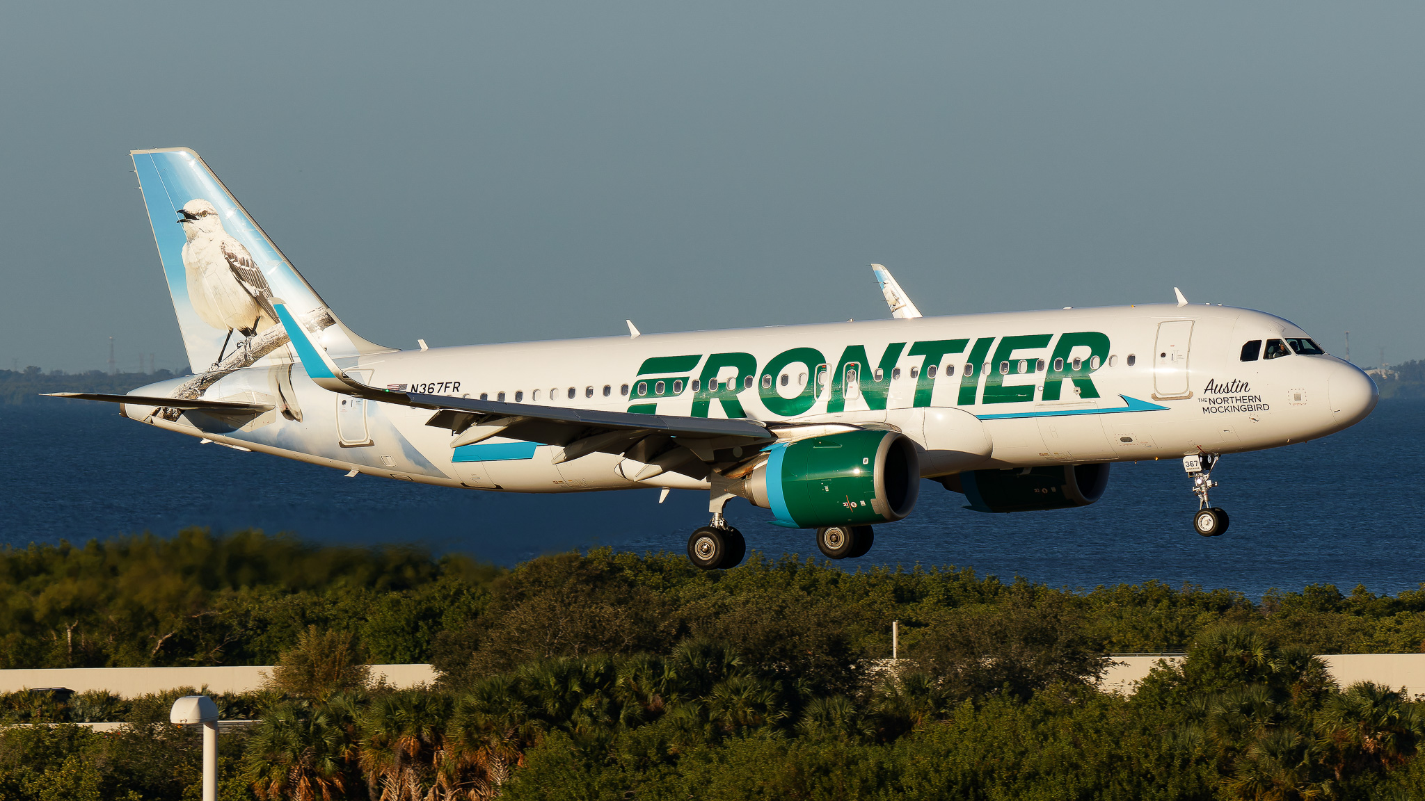 Full size: Frontier Airlines Airbus A320NEO N367FR at Tampa International Airport