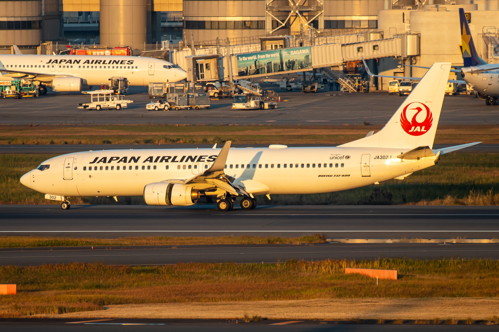 Full size: Japan Airlines Boeing 737-800 JA302J at Tokyo-Haneda Airport
