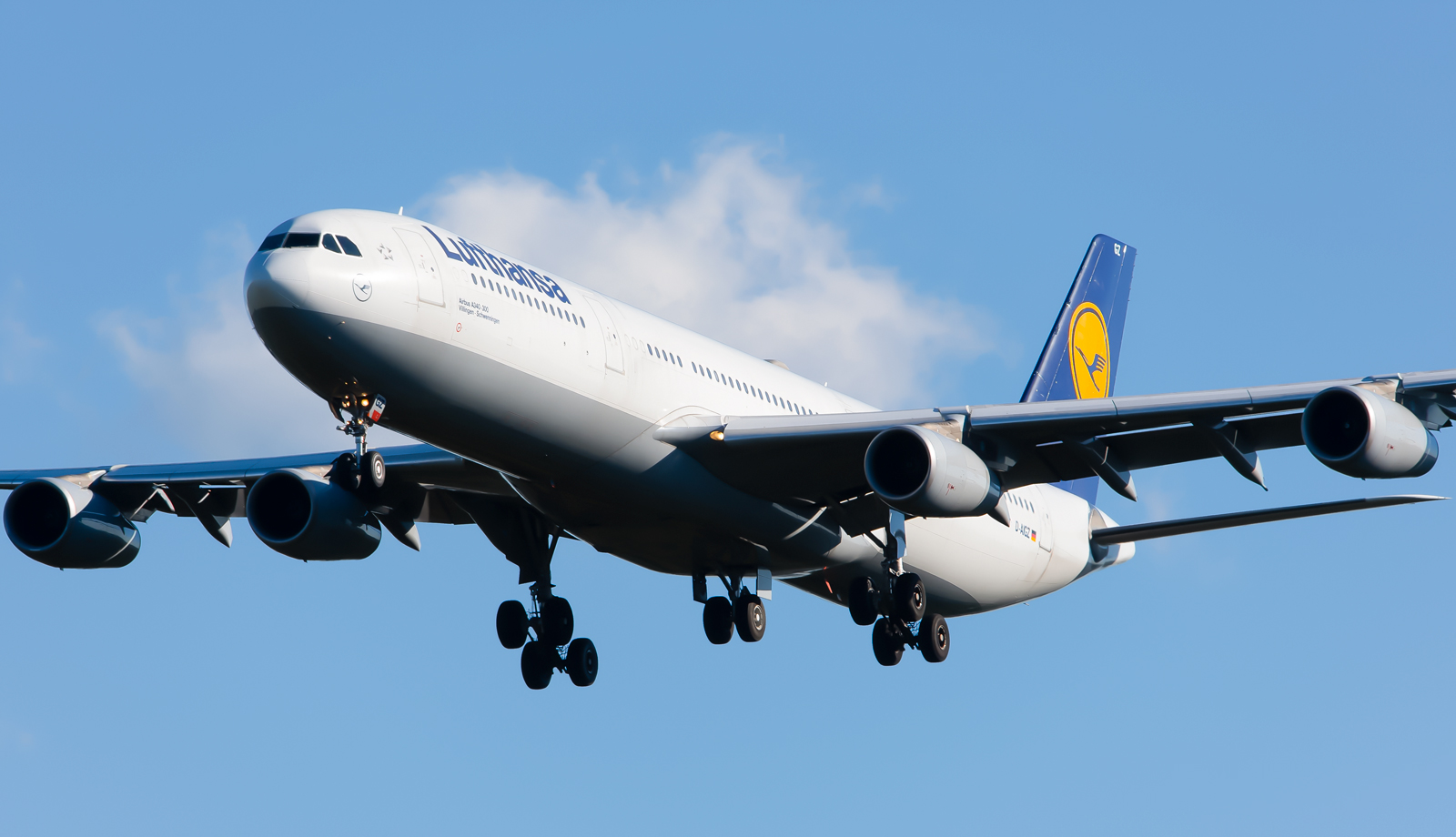 Full size: Lufthansa  Airbus A340-300 D-AIGZ at Washington Dulles International Airport