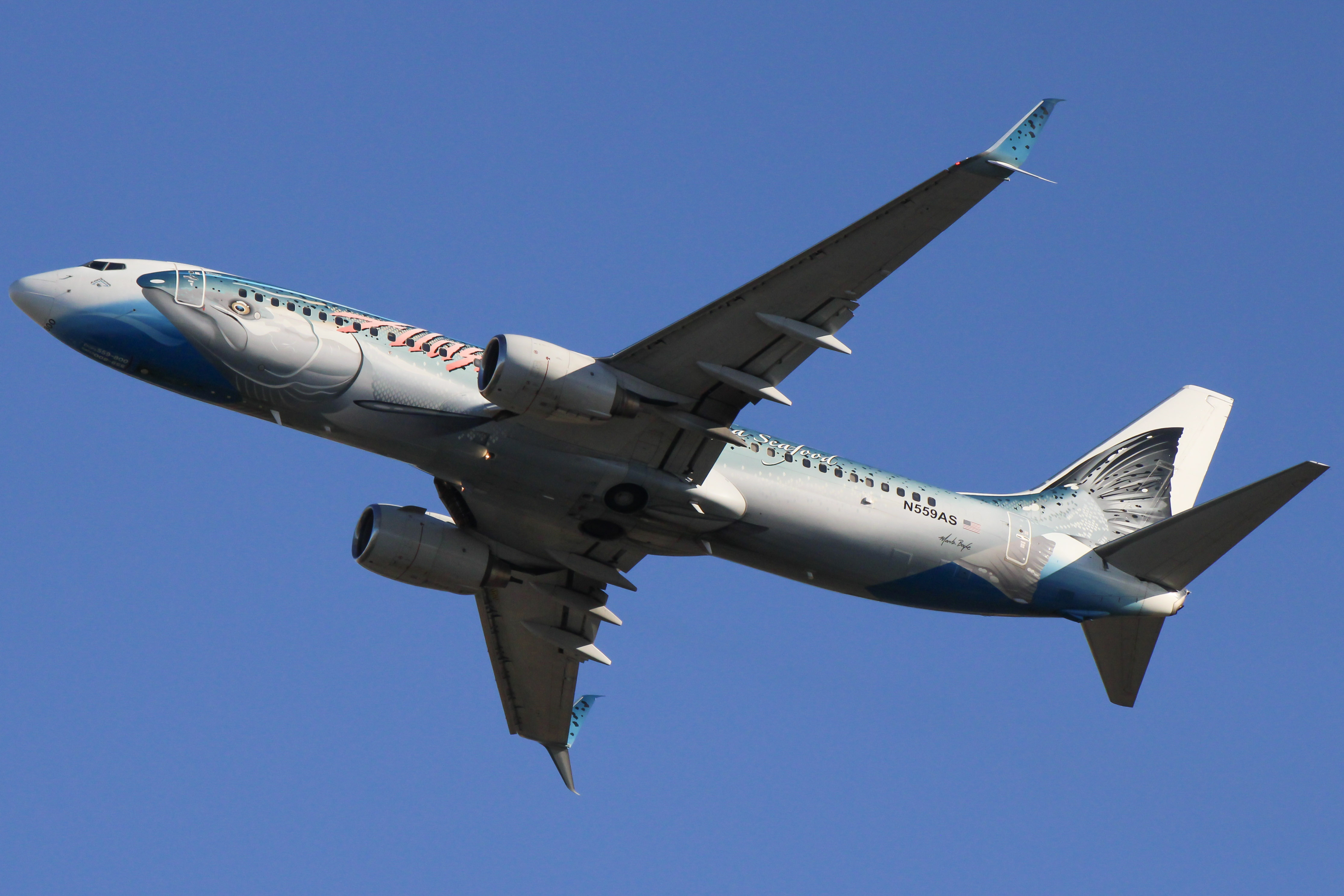 Full size: Alaska Airlines Boeing 737-800 N559AS at San Diego International Airport