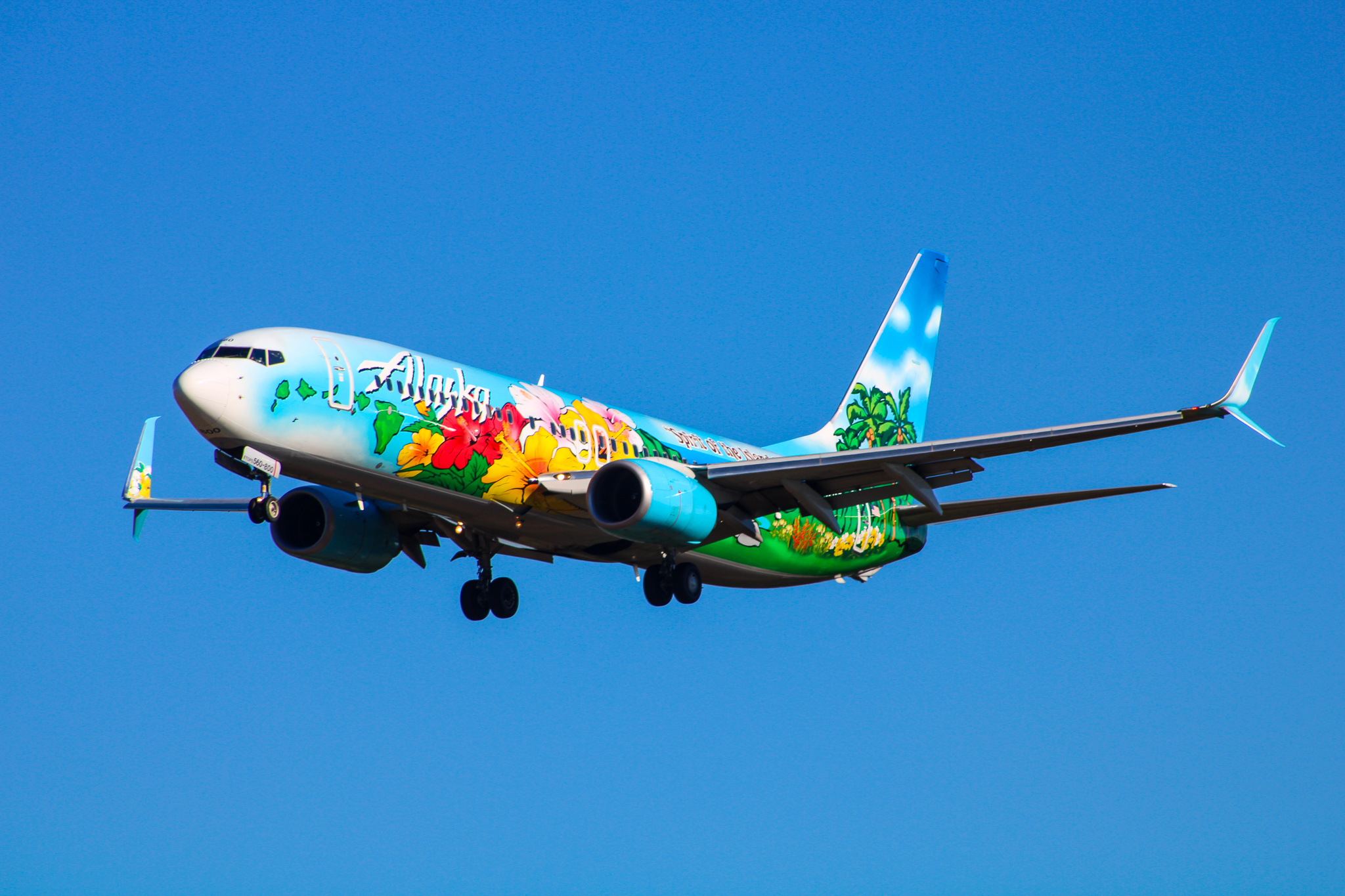 Full size: Alaska Airlines Boeing 737-800 N560AS at Baltimore/Washington International Thurgood Marshall Airport