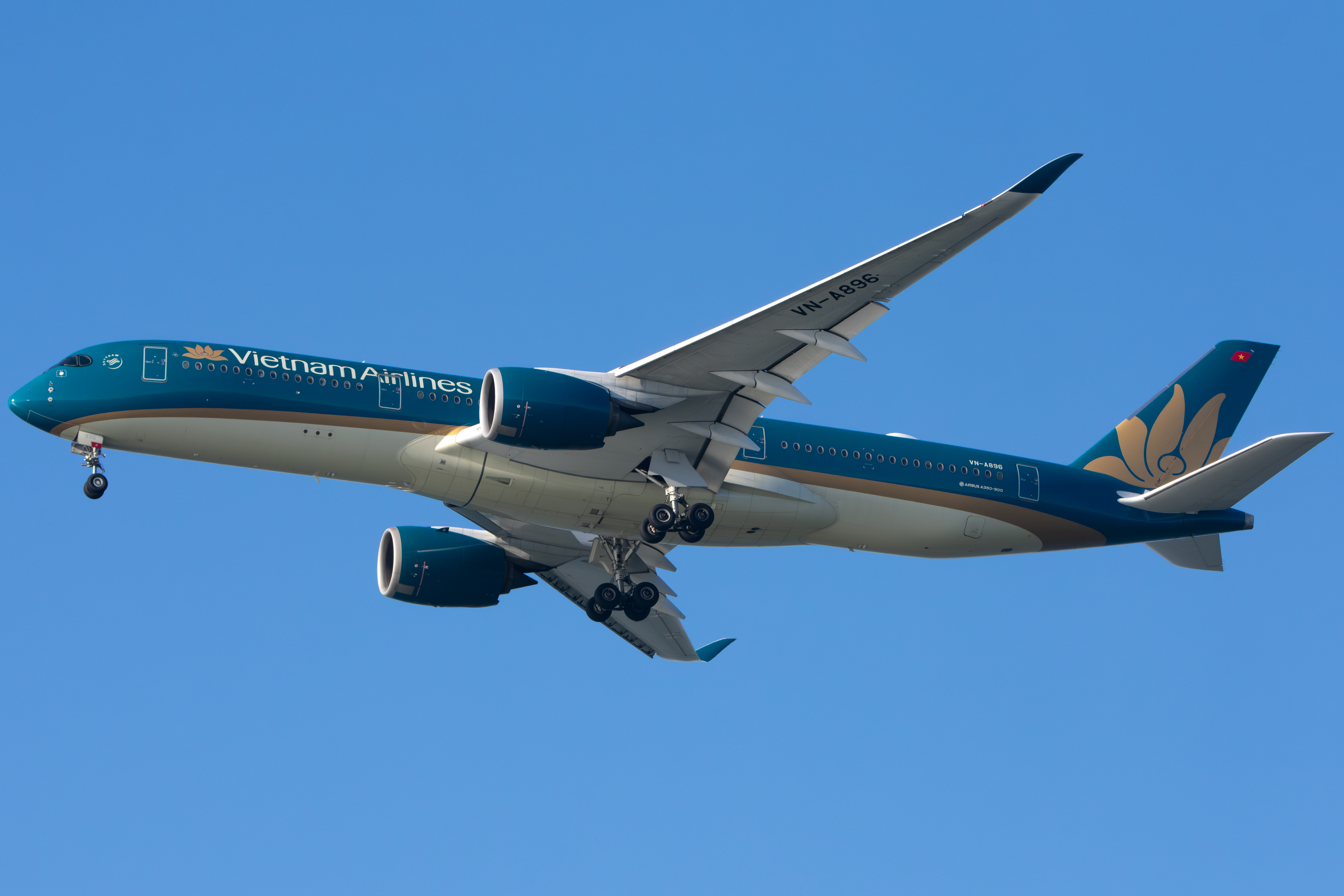 Full size: Vietnam Airlines Airbus A350-900 VN-A896 at San Francisco International Airport