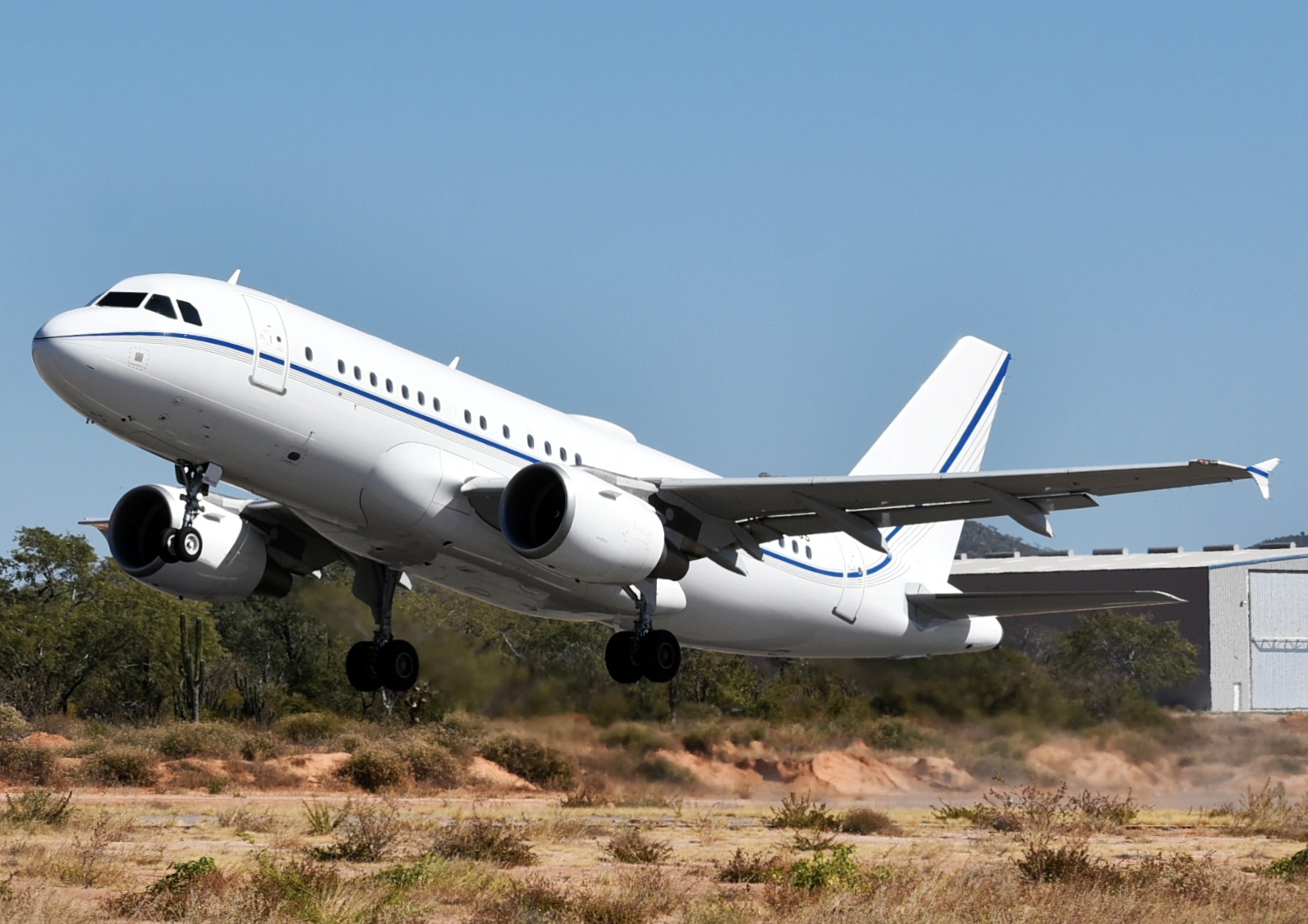 Full size: PRIVATE Airbus A319 D-APGS at Aeropuerto de Cabo San Lucas Internacional