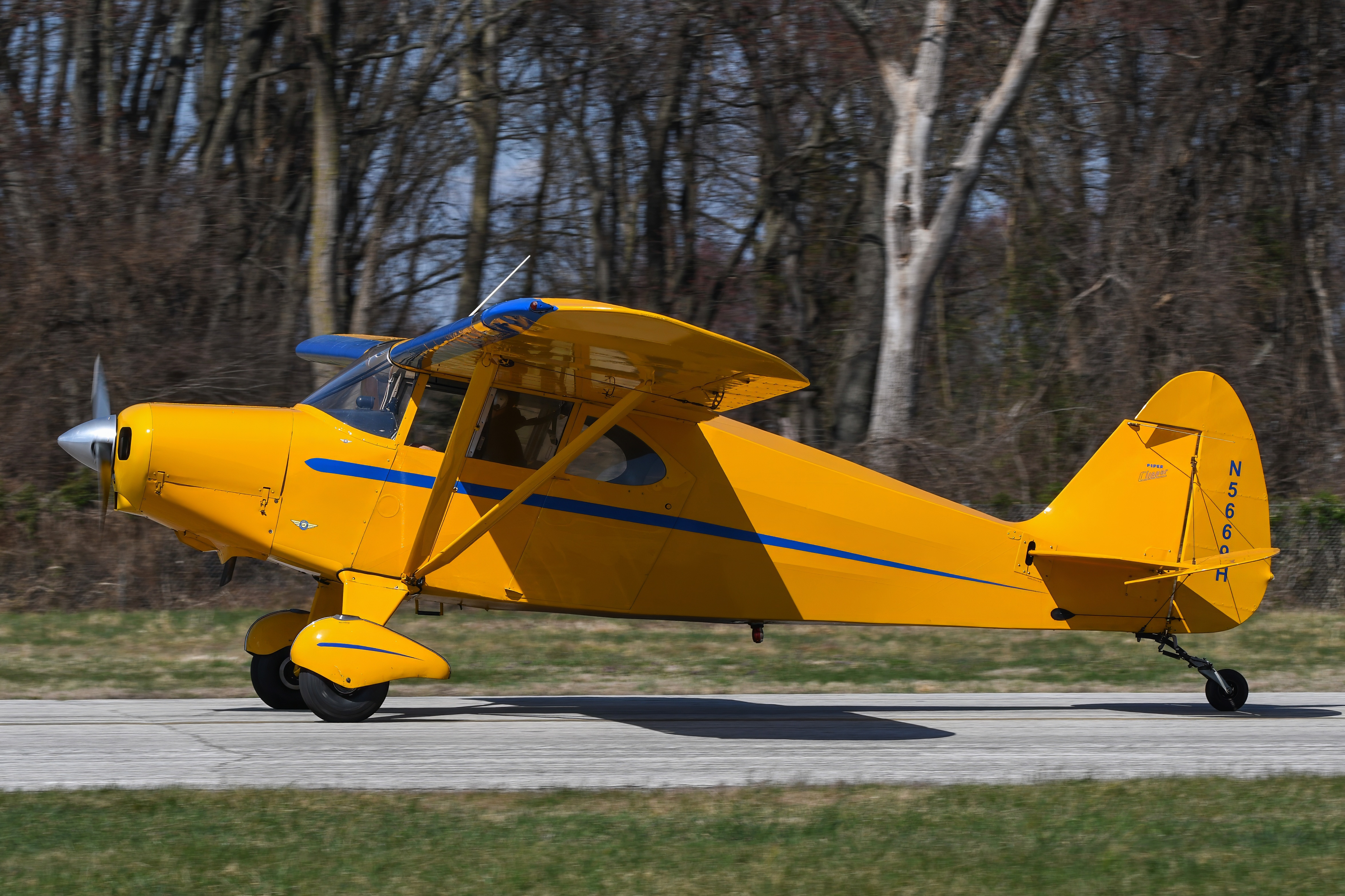 Full size: PRIVATE Piper PA-16 N5669H at 