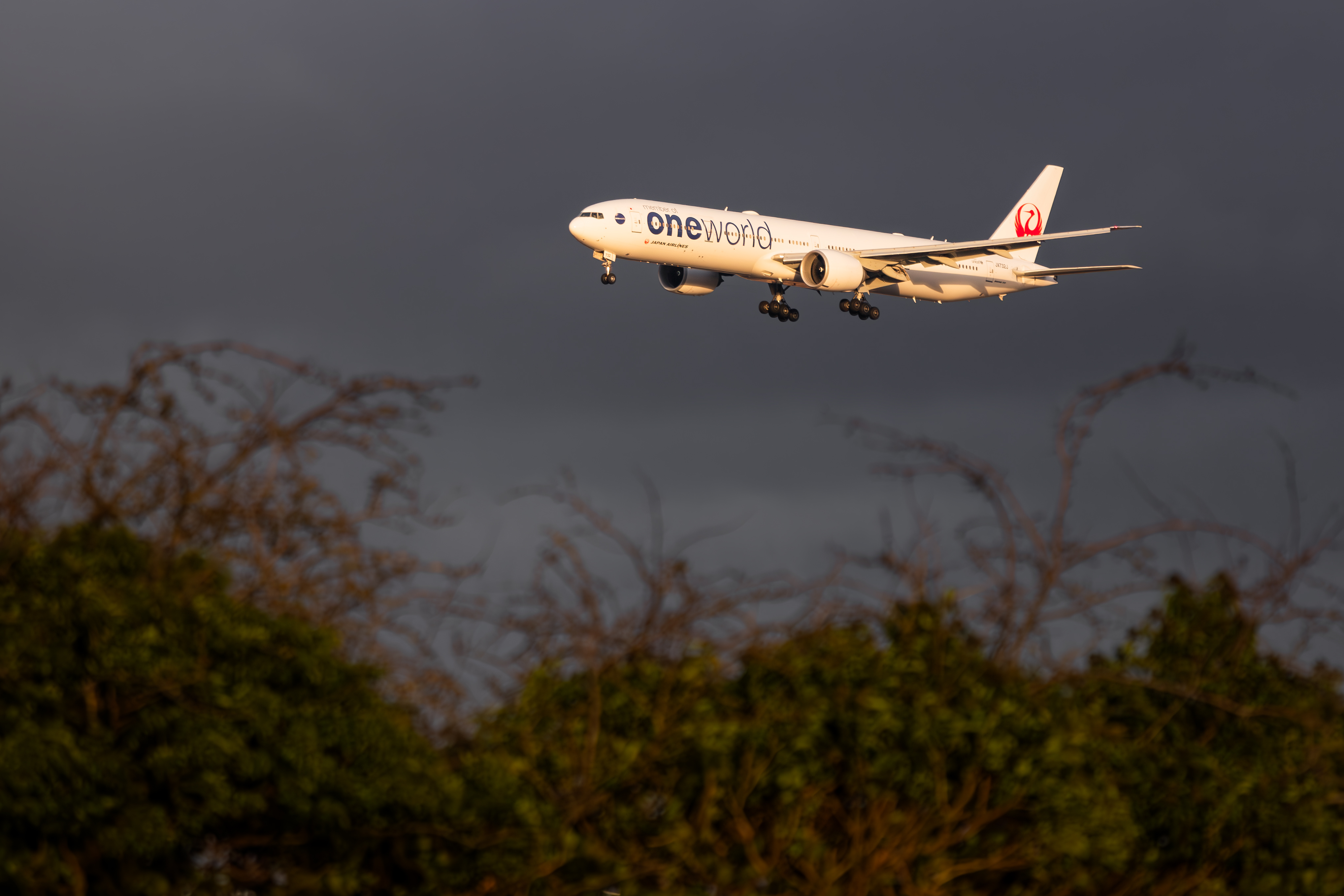 Full size: Japan Airlines Boeing 777-300ER JA732J at London Heathrow International Airport