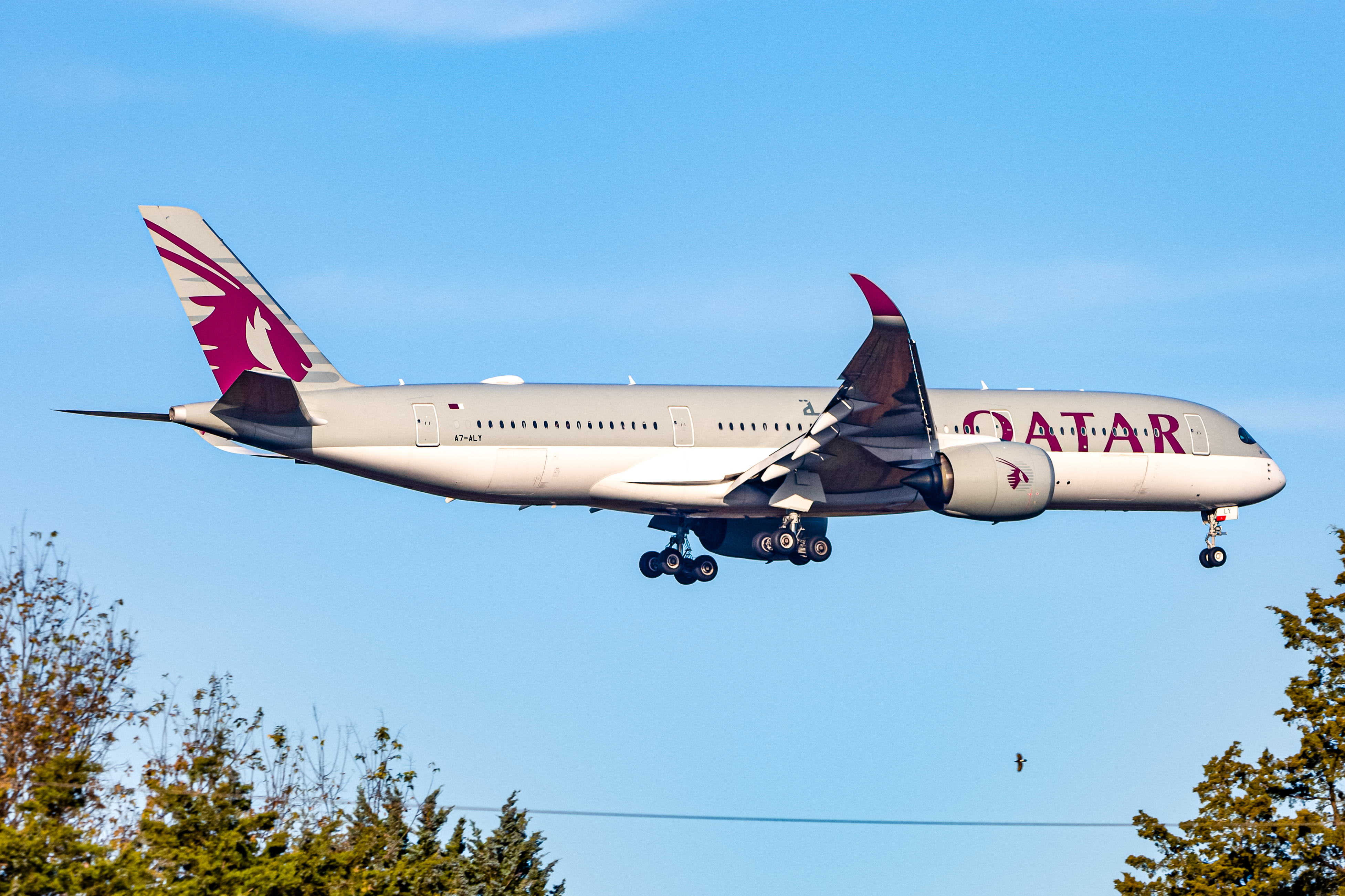 Full size: Qatar Airways Airbus A350-900 A7-ALY at Washington Dulles International Airport