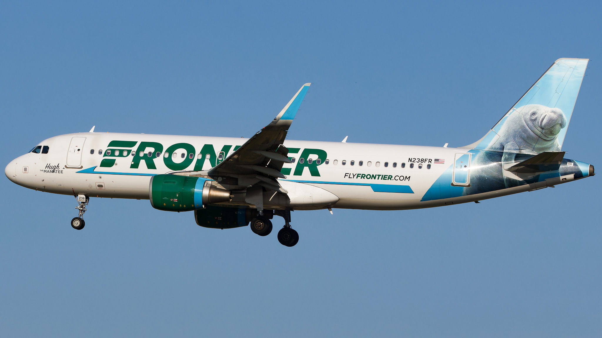 Full size: Frontier Airlines Airbus A320 N238FR at Tampa International Airport