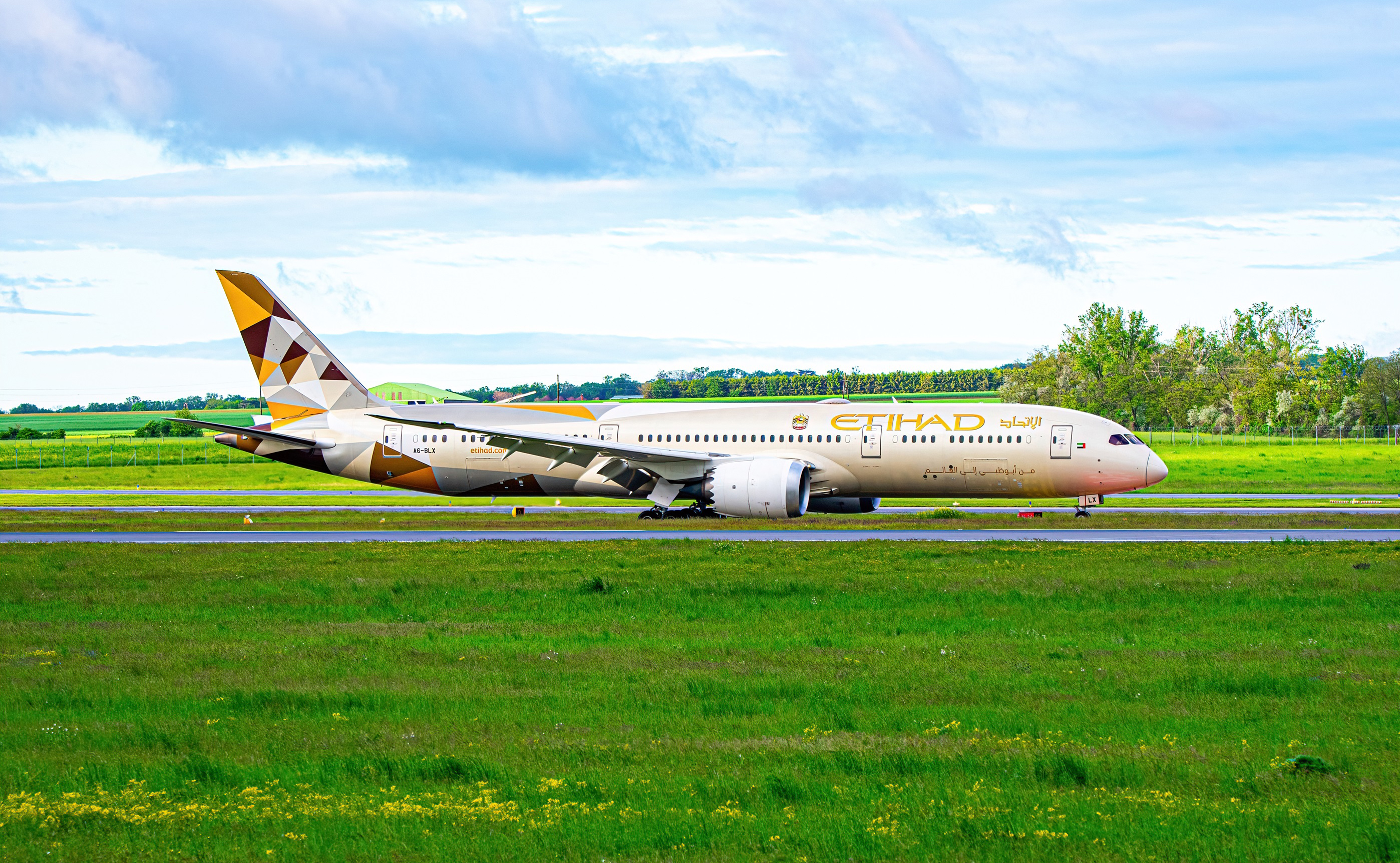 Full size: Etihad Airways Boeing 787-9 A6-BLX at Vienna International Airport