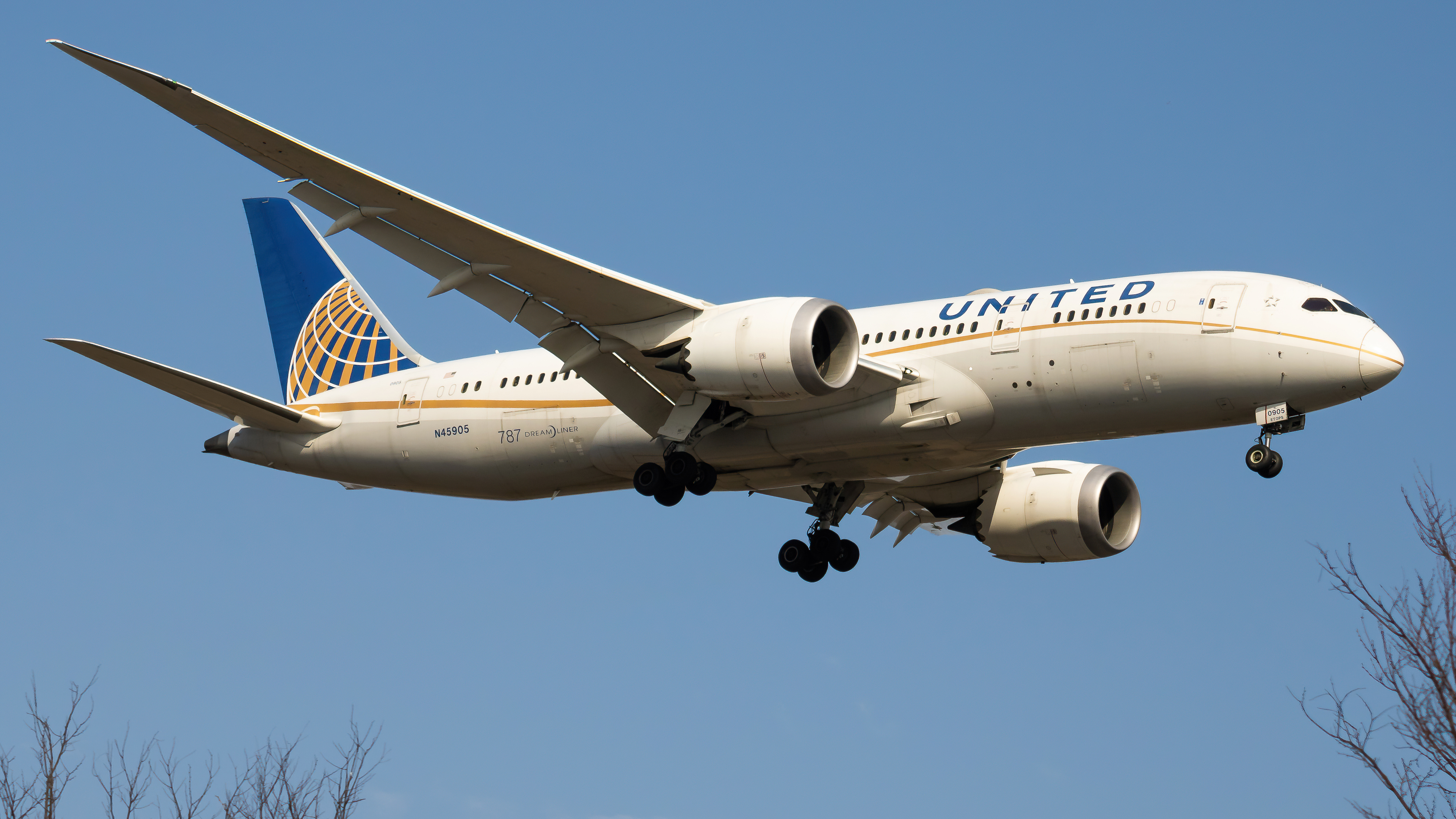 Full size: United Airlines Boeing 787-8 N45905 at Washington Dulles International Airport