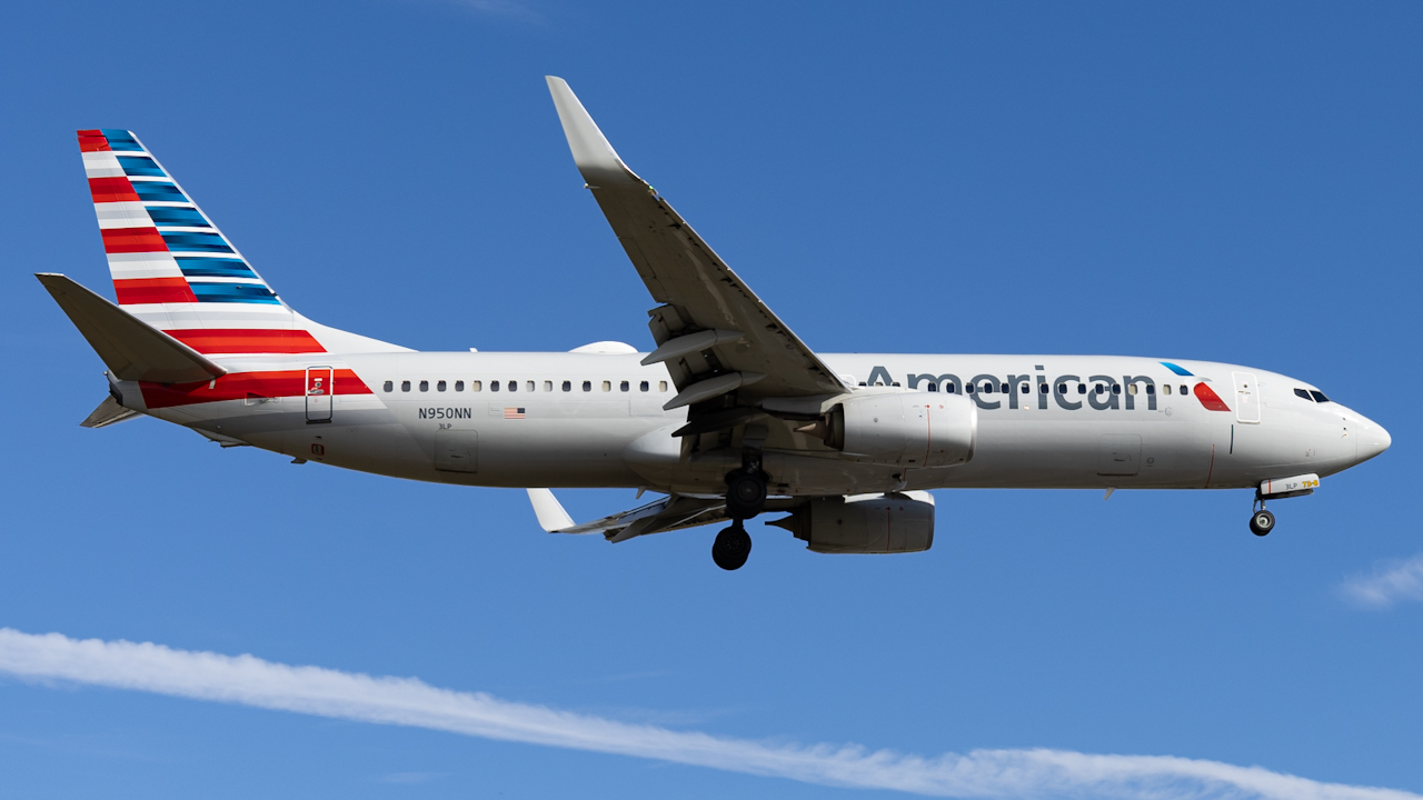 Full size: American Airlines Boeing 737-800 N950NN at Tampa International Airport