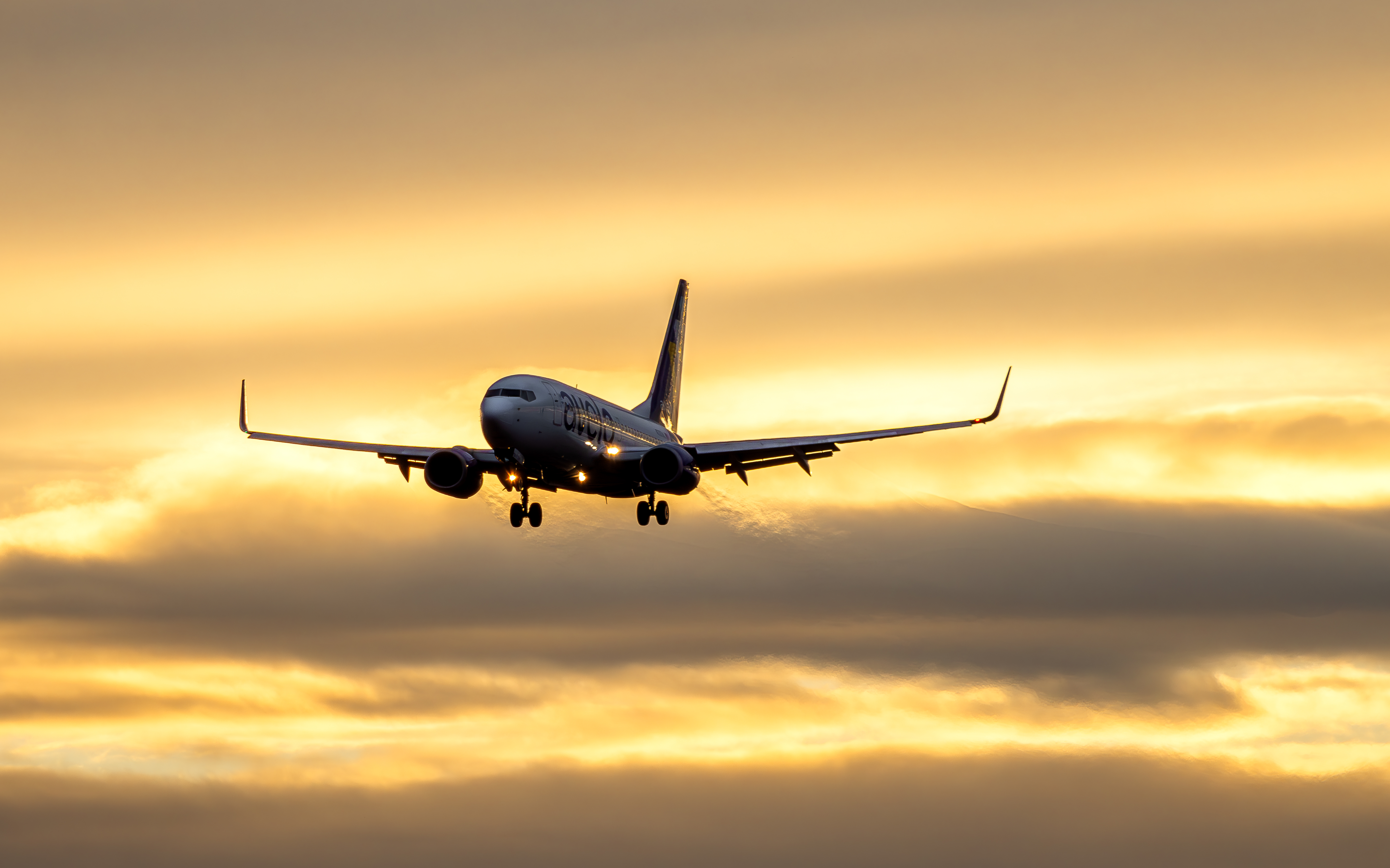 Full size: Avelo Airlines Boeing 737-700 N705VL at Roberts Field Airport