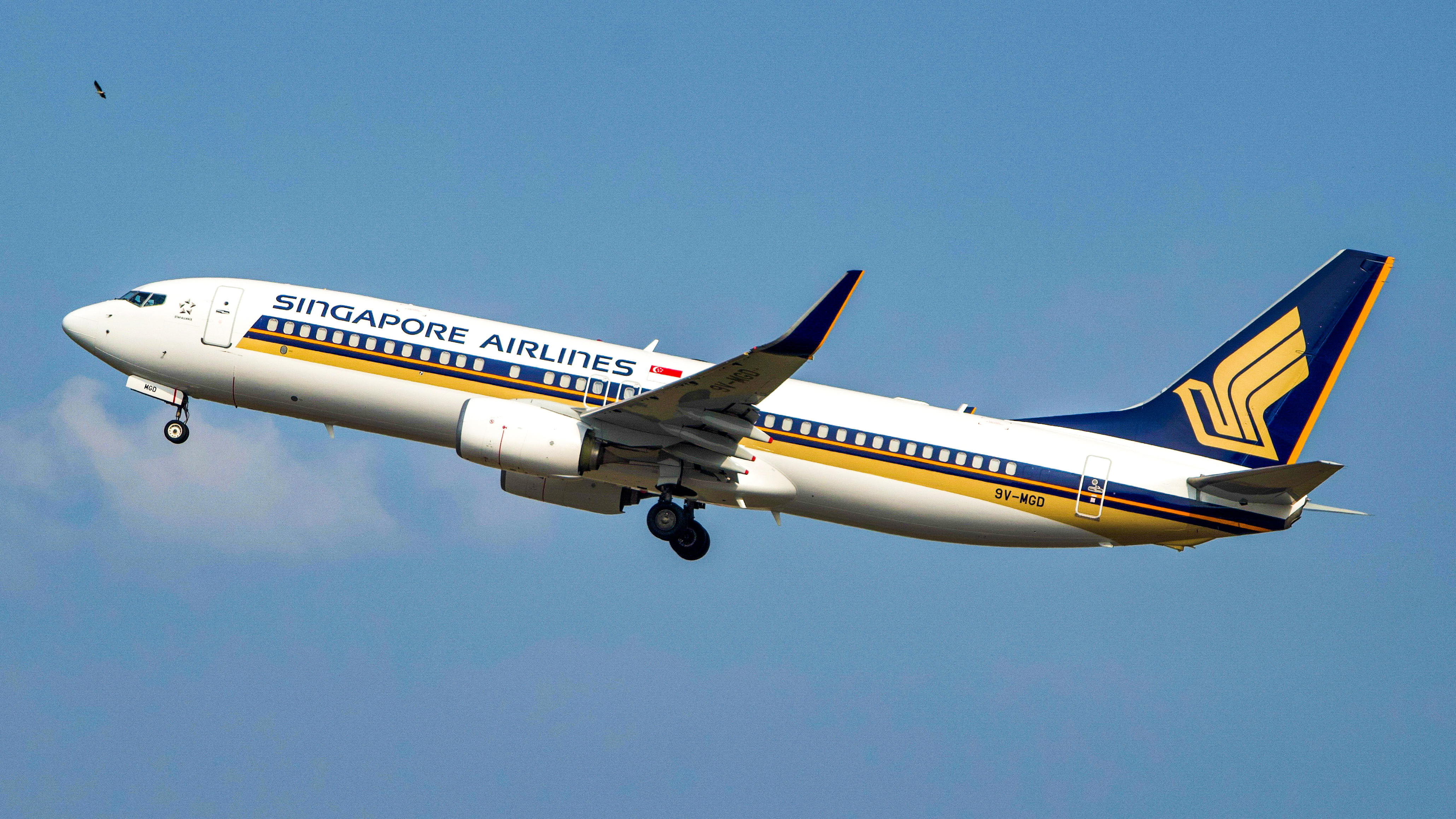 Full size: Singapore Airlines Boeing 737-800 9V-MGD at Singapore-Changi Airport