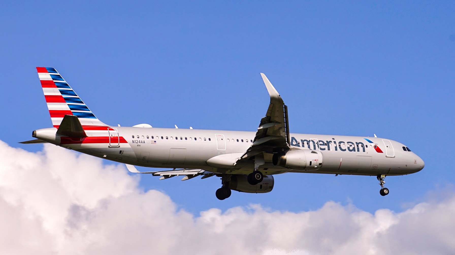 Full size: American Airlines Airbus A321-200 N124AA at Dallas-Fort Worth International Airport