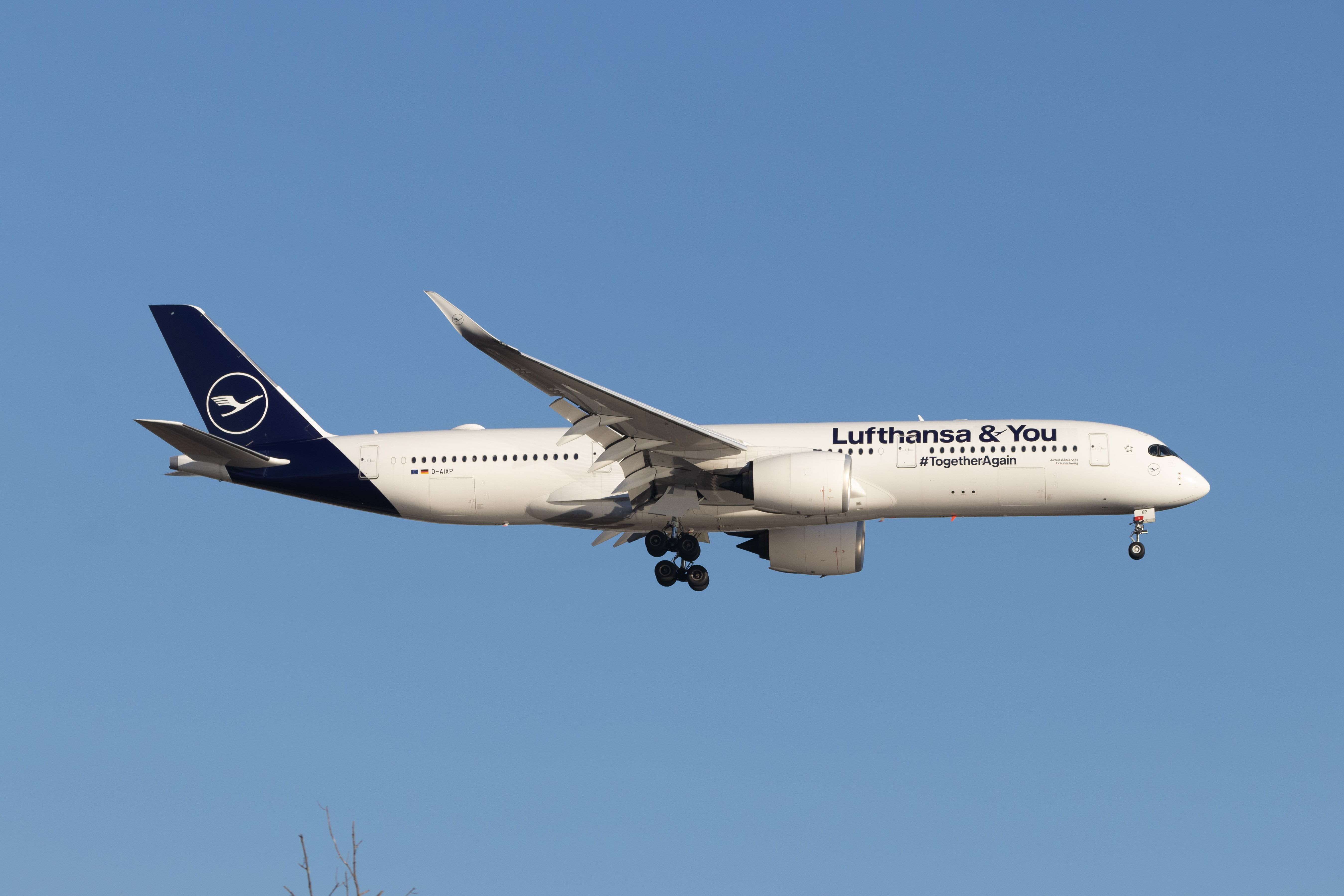Full size: Lufthansa Airbus A350-900 D-AIXP at Washington Dulles International Airport