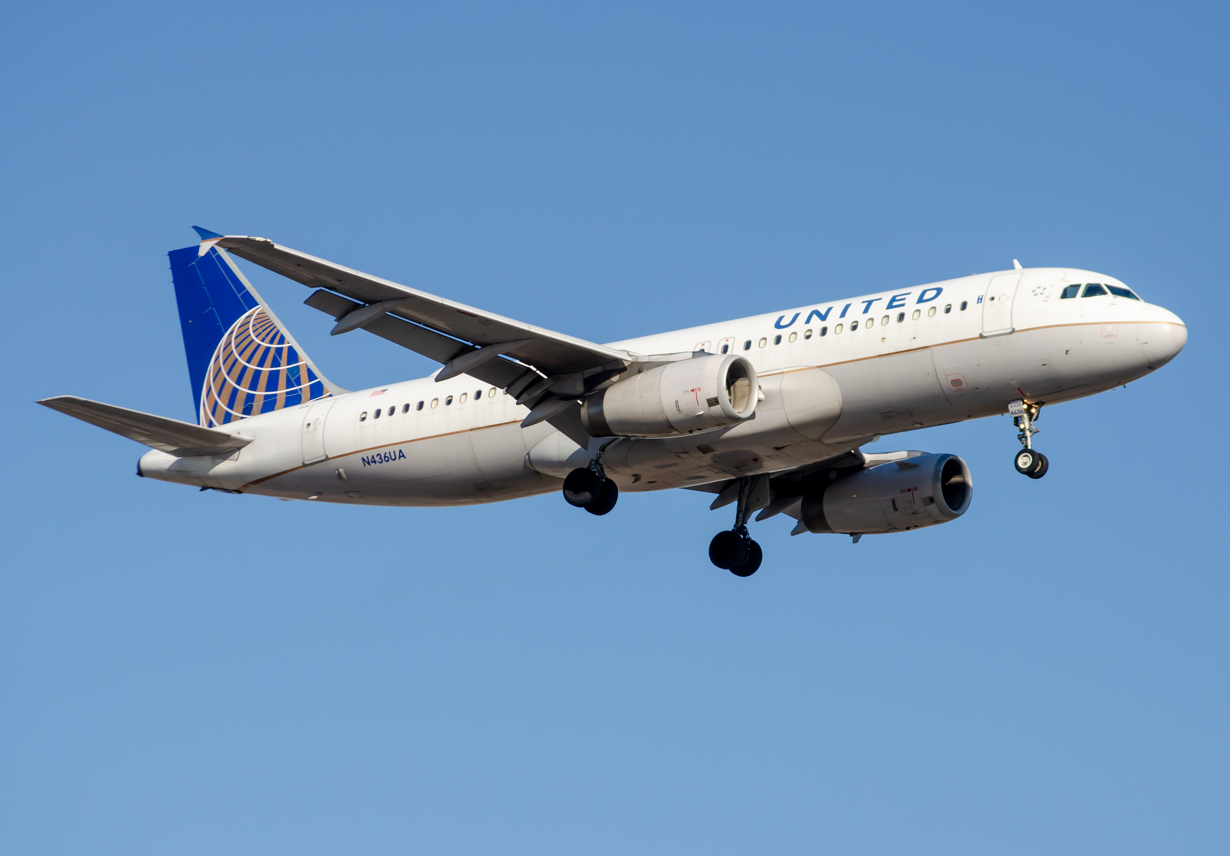 Full size: United Airlines Airbus A320 N436UA at Newark Liberty International Airport