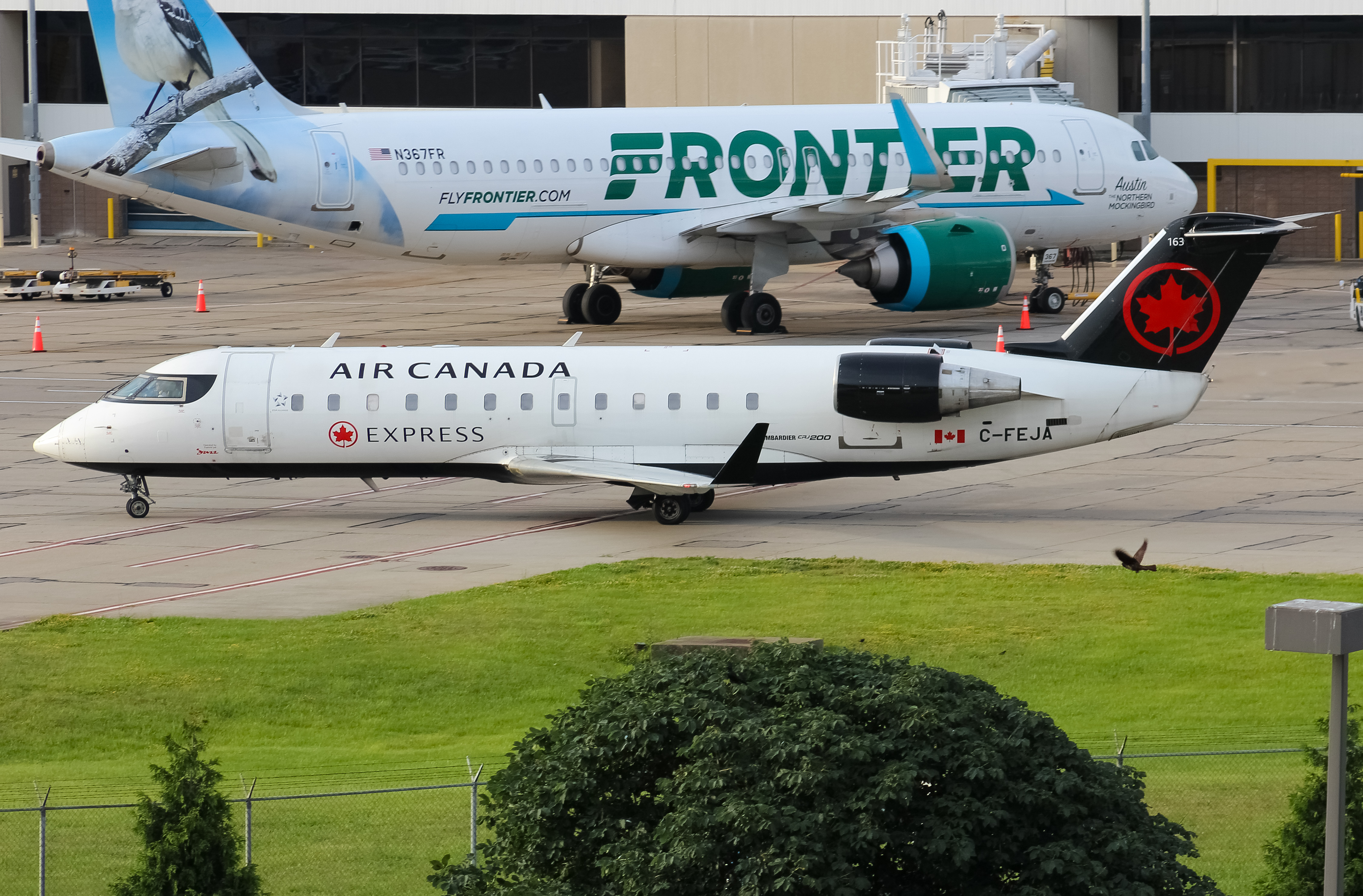Full size: Air Canada Express Mitsubishi CRJ-200 C-FEJA at Cincinnati/Northern Kentucky International Airport