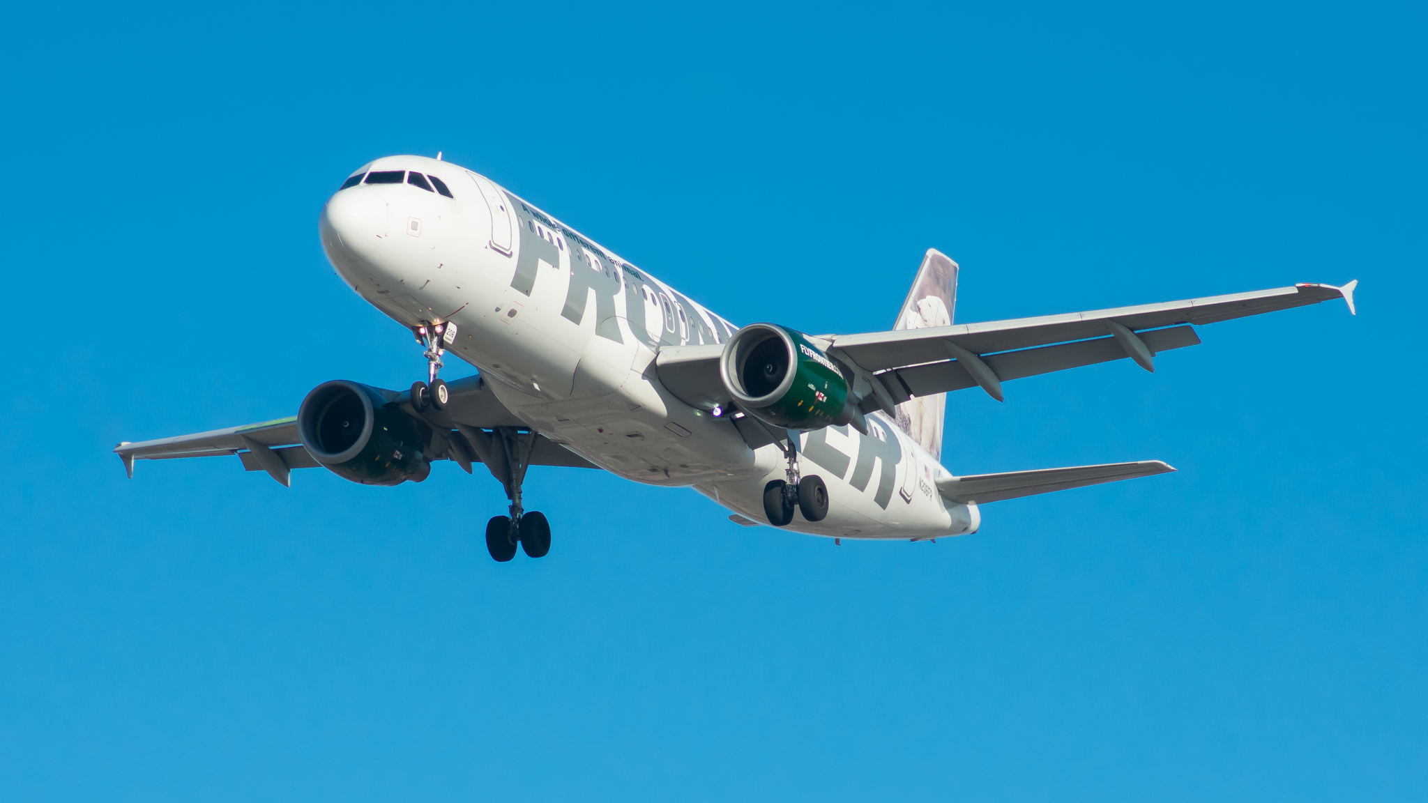 Full size: Frontier Airlines Airbus A320 N206FR at Chicago O'Hare International Airport