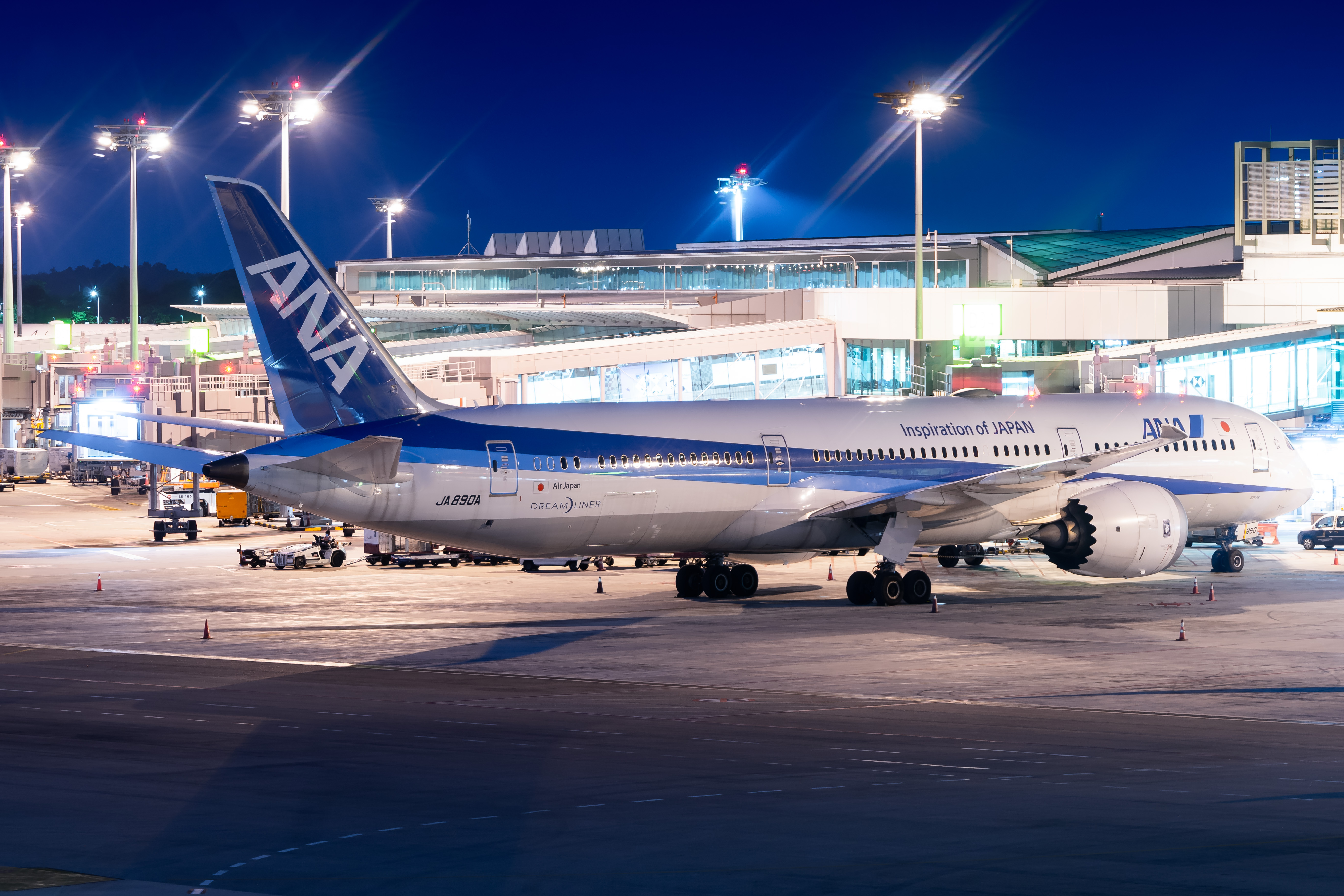 Full size: All Nippon Airways B787-9 JA890A at Singapore-Changi Airport