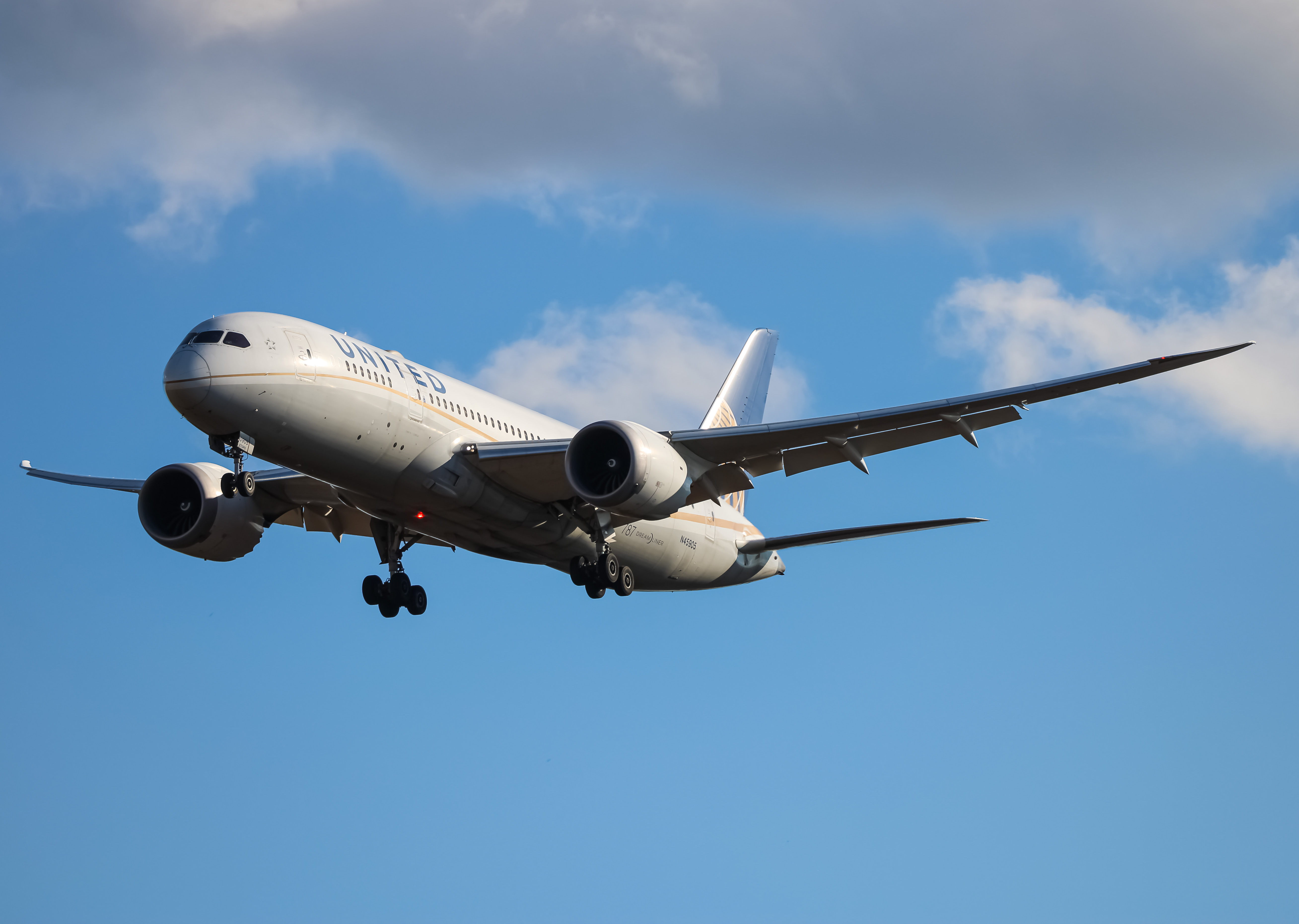 Full size: United Airlines Boeing 787-8 N45905 at Washington Dulles International Airport